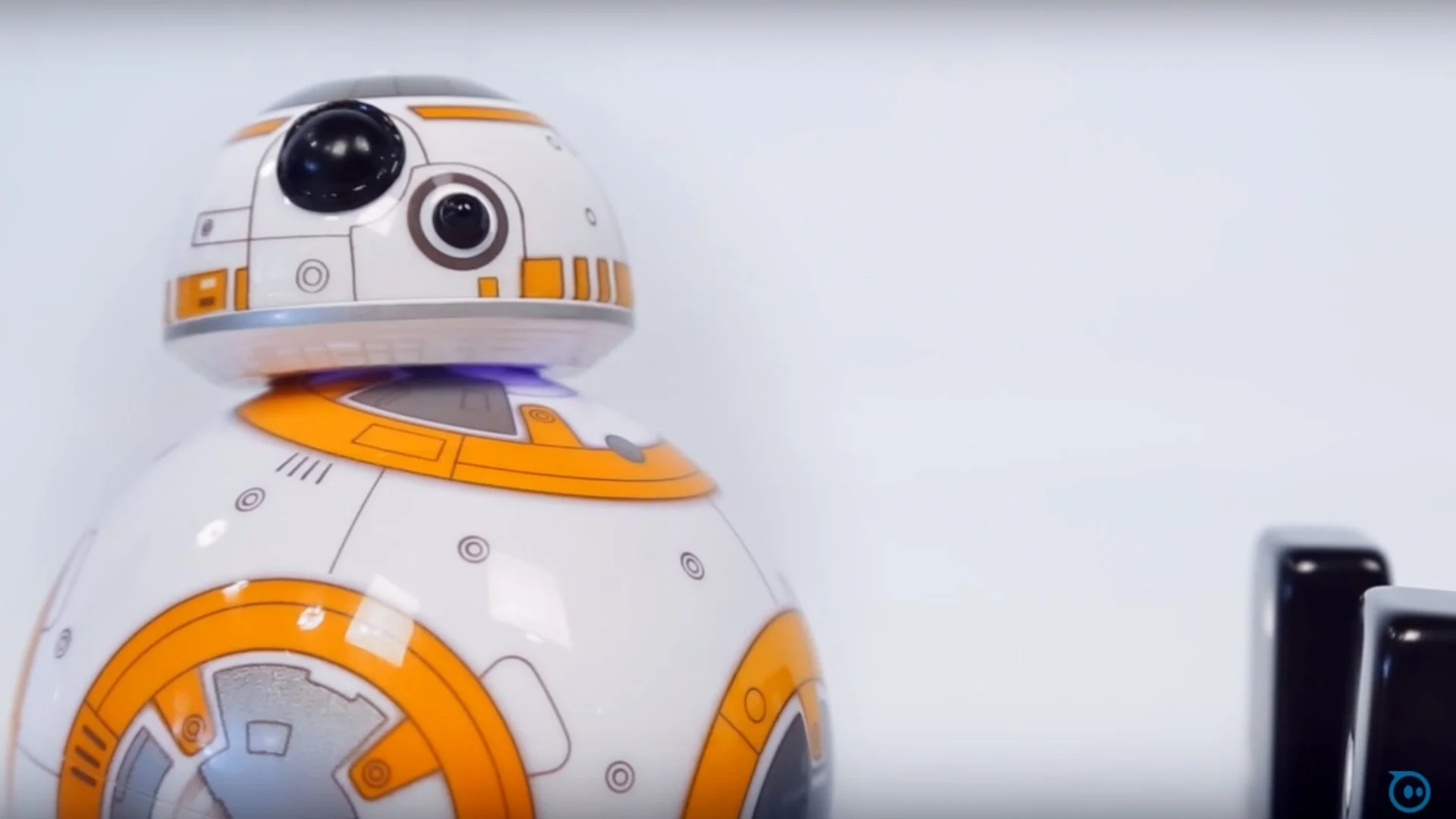 Star Wars: The Force Awakens has produced the most incredible characters,  but none cuter