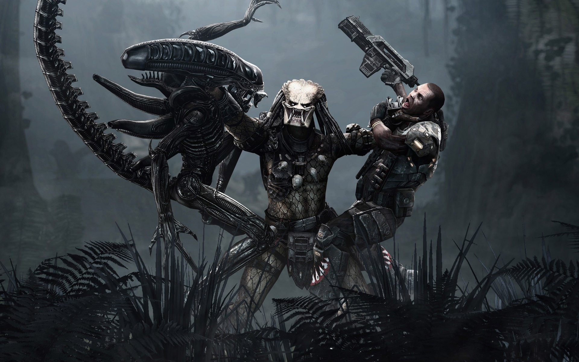 Alien vs predator game hd wallpaper 1920×1200 4813.