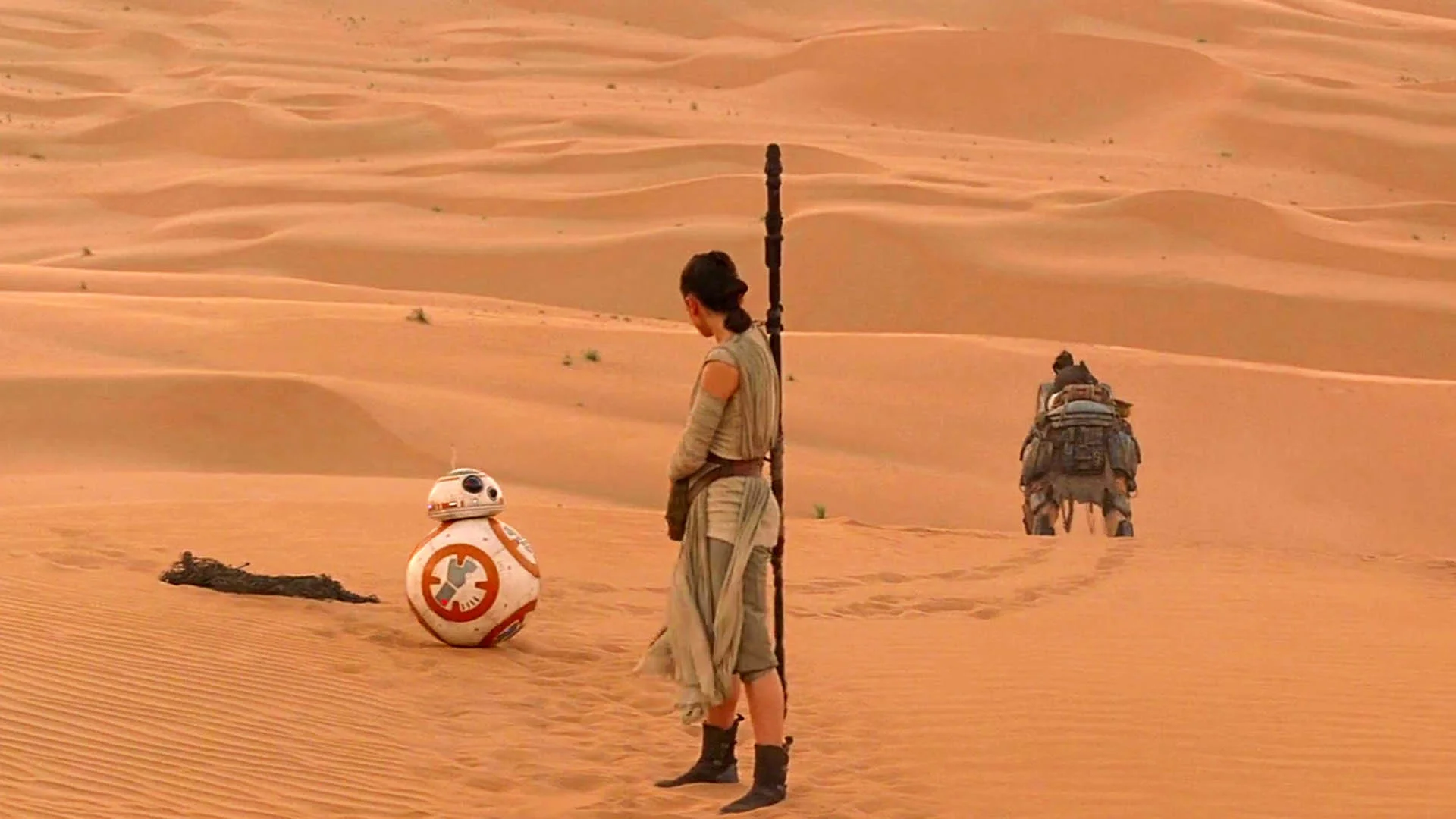Rey encounters BB-8 – Star Wars: The Force Awakens wallpaper