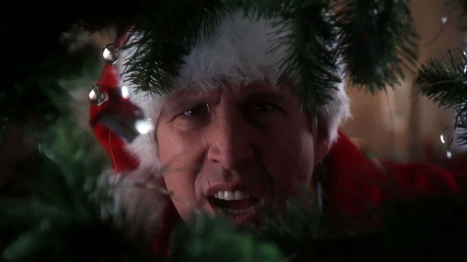 National Lampoons ChristmasVacation images National Lampoons