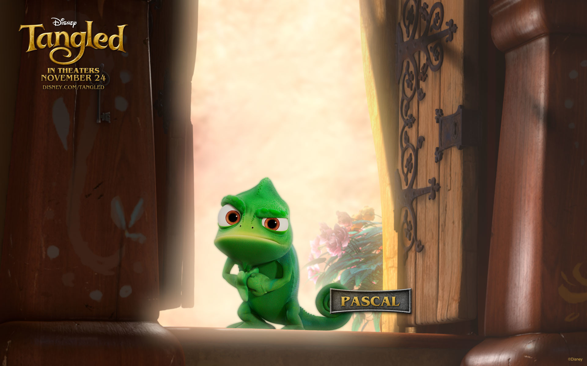 Pascal from Disneys Tangled wallpaper – Click picture for high resolution HD wallpaper