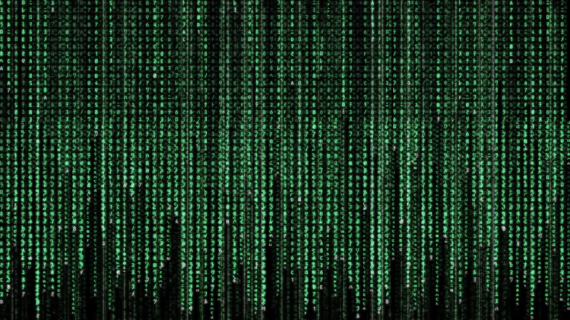 HD Wallpaper | Background ID:77840. Movie The Matrix