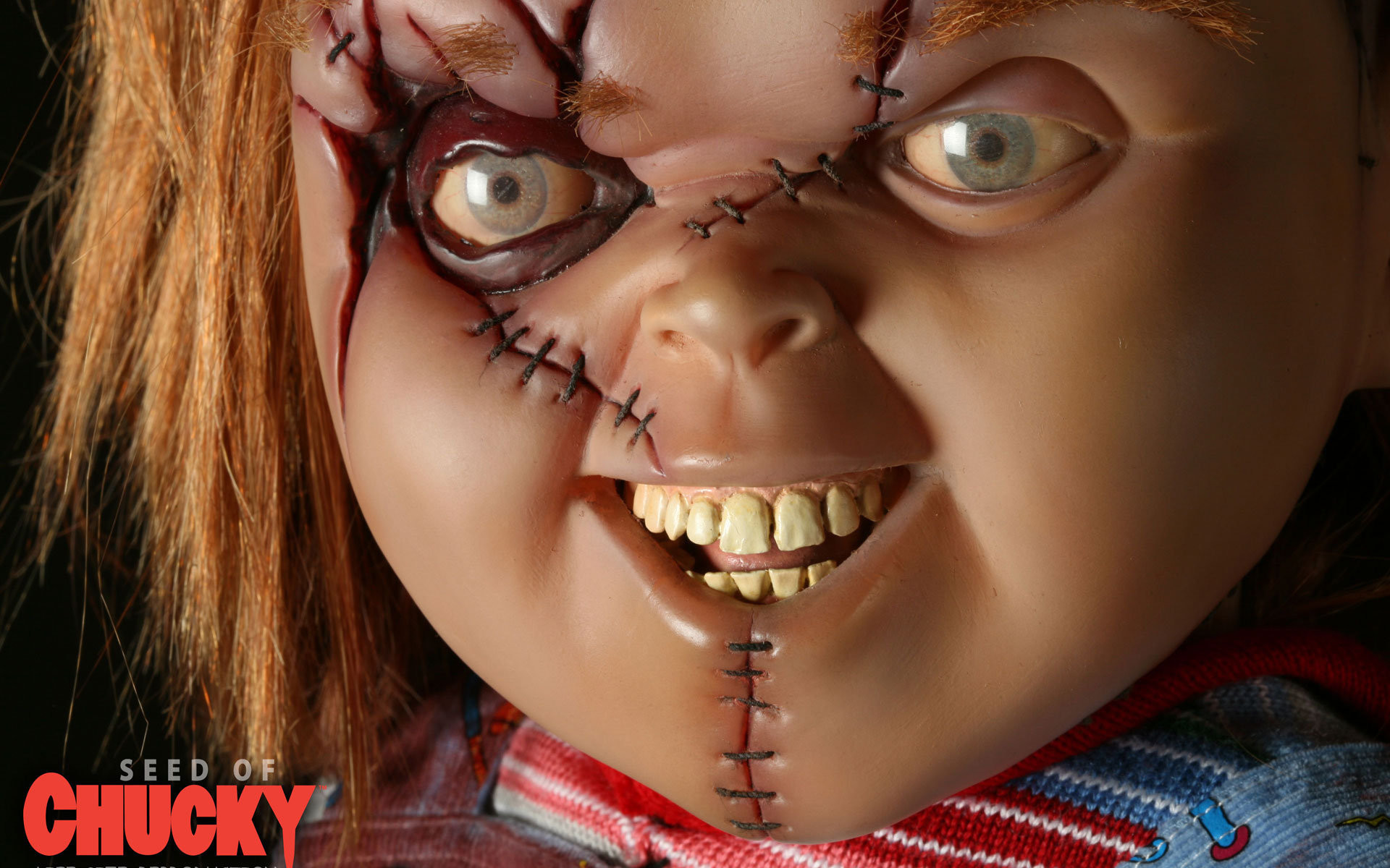 Seed Of Chucky - Seed Of Chucky Wallpaper (29023592) - Fanpo