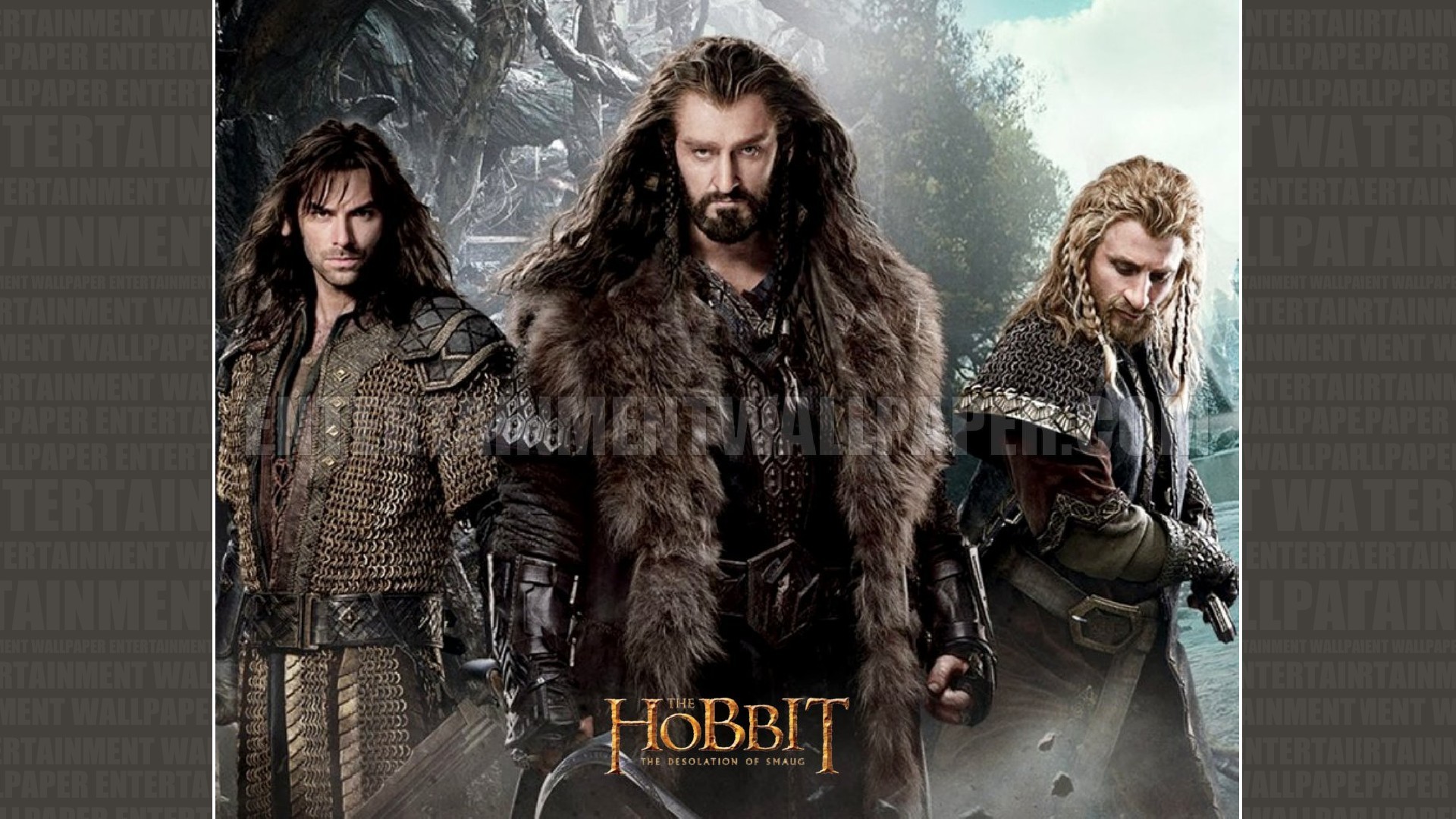 The Hobbit The Desolation of Smaug Wallpaper – Original size, download now
