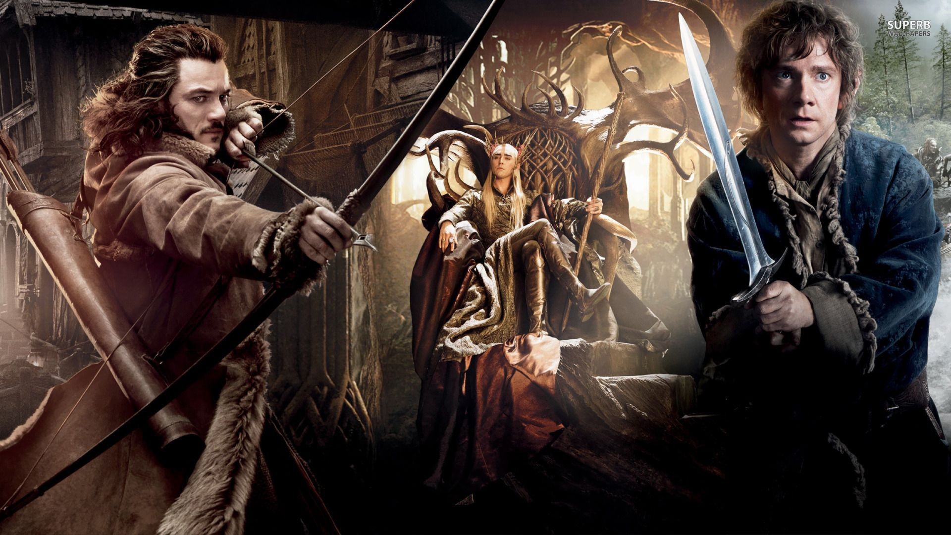 The Hobbit: The Desolation of Smaug wallpaper – Movie wallpapers .