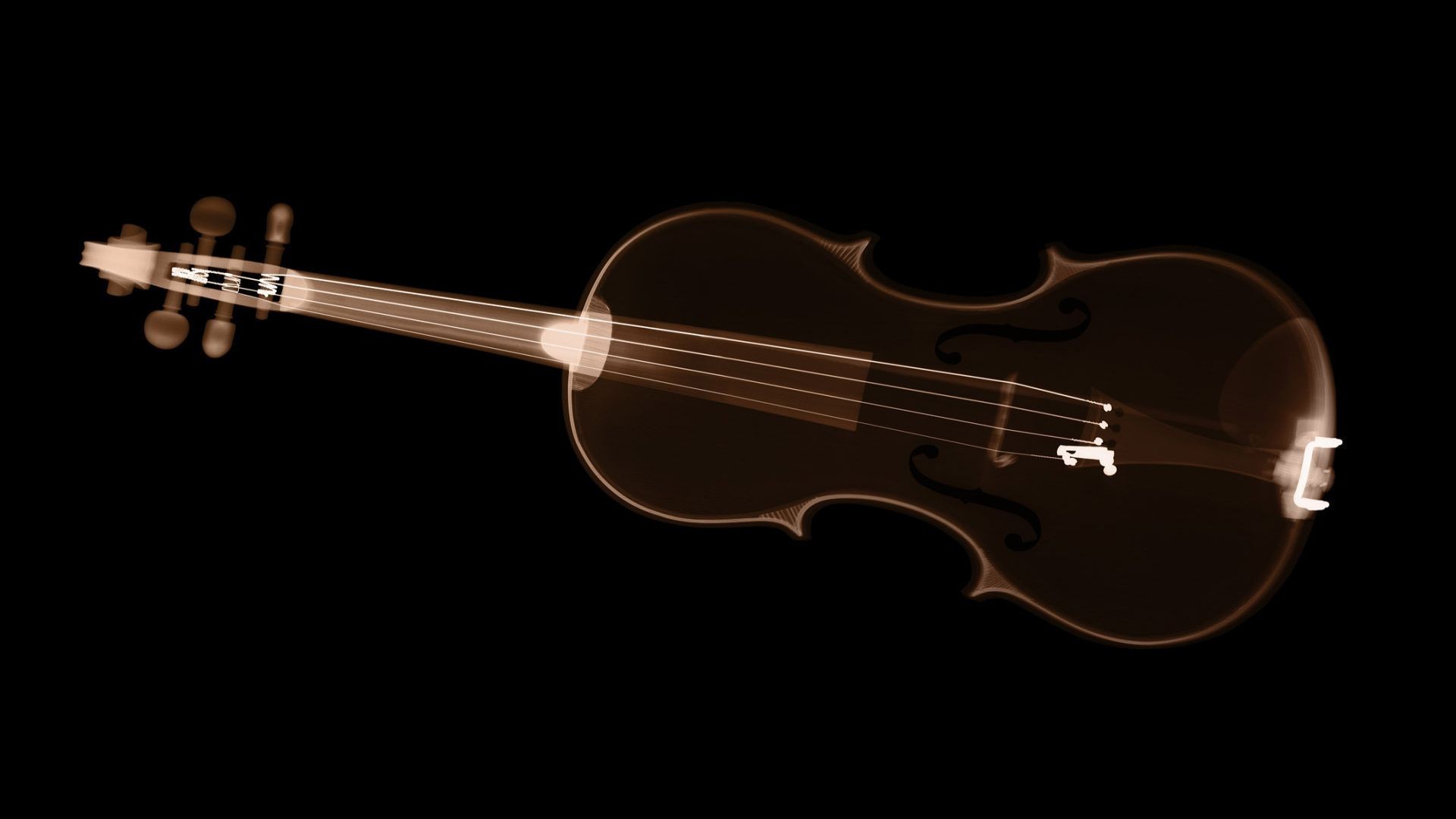 ray violin Wallpaper