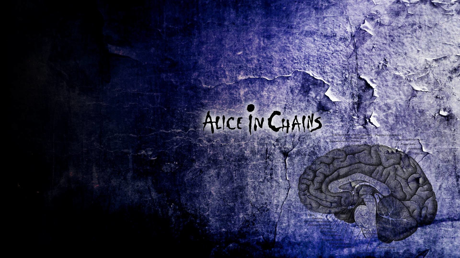 Alice In Chains HD by Hyphernate wallpaper Style Favor Photos