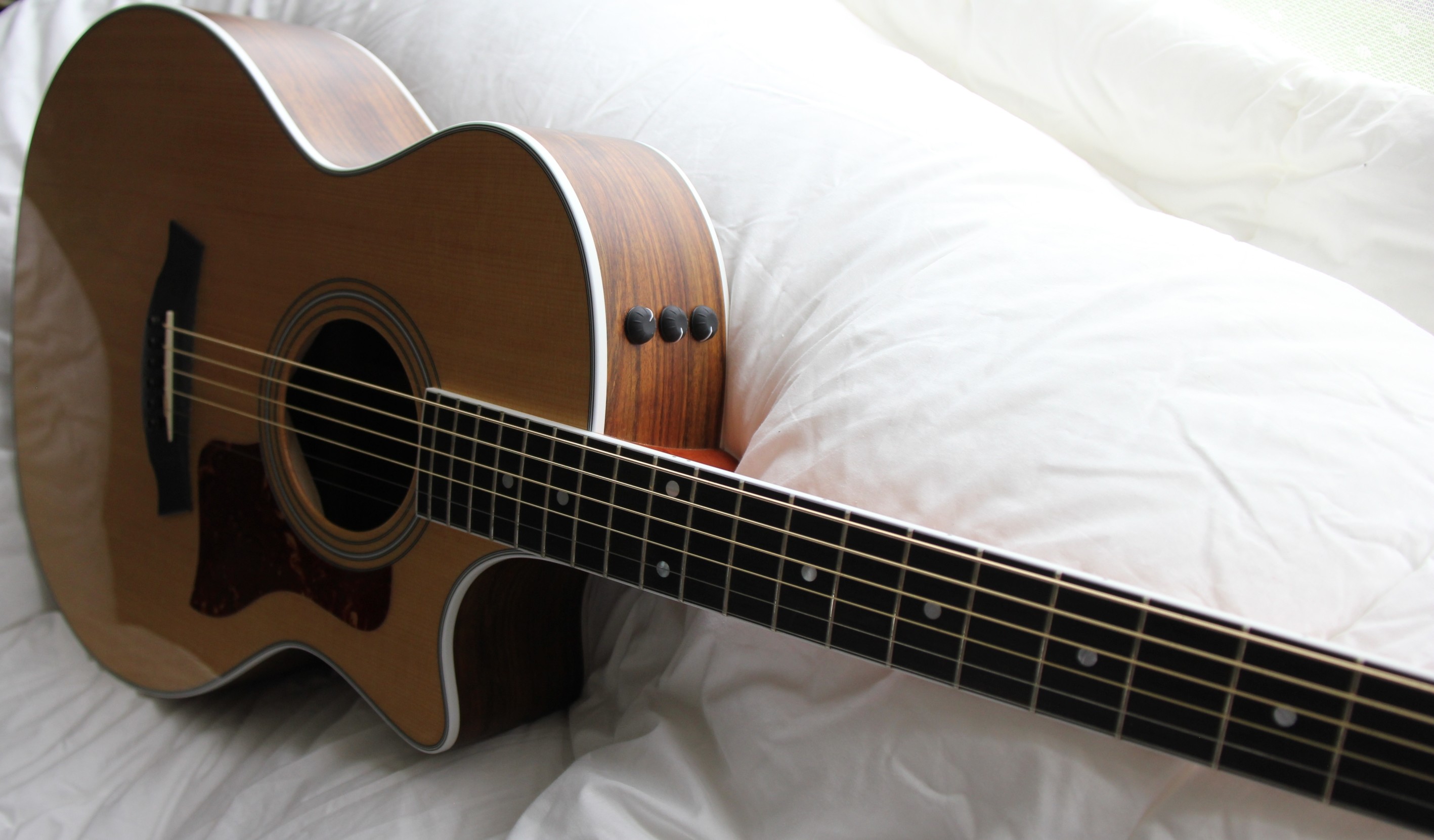 Taylor 414ce Electro-acoustic guitar-tay4.jpg