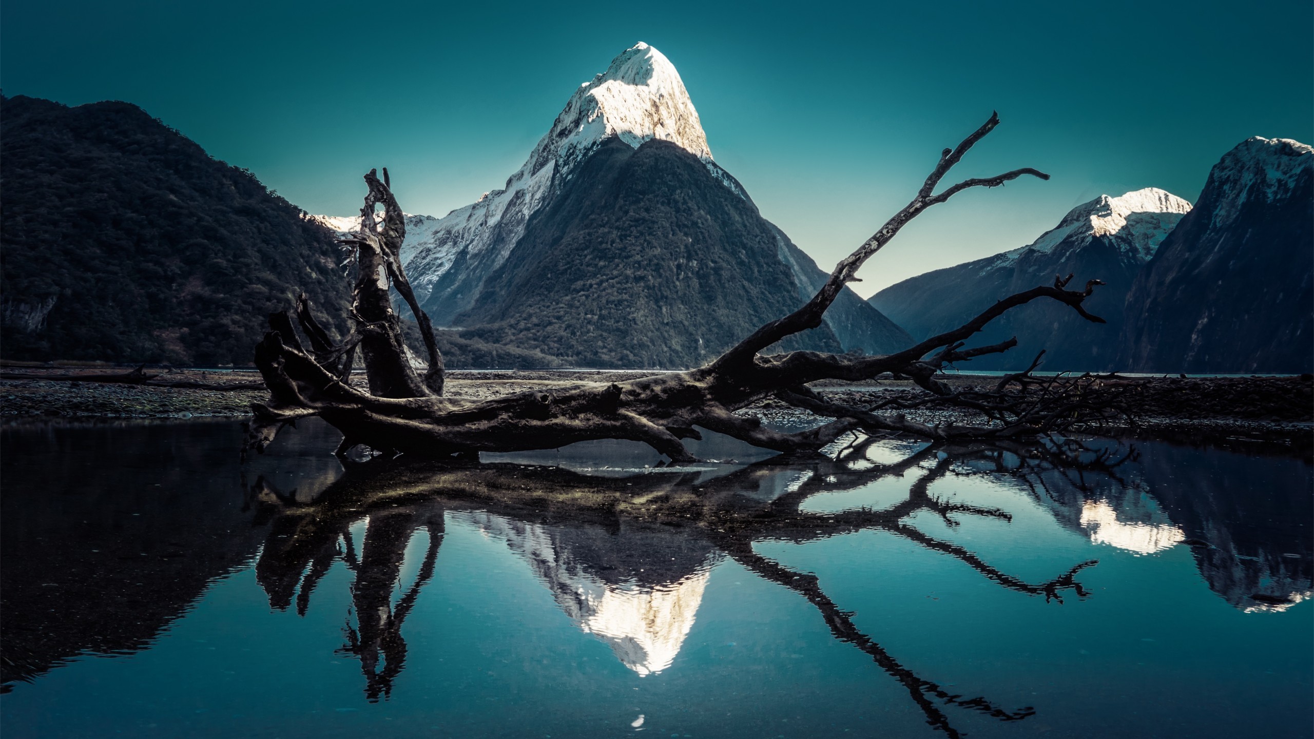 World / Milford Sound Wallpaper