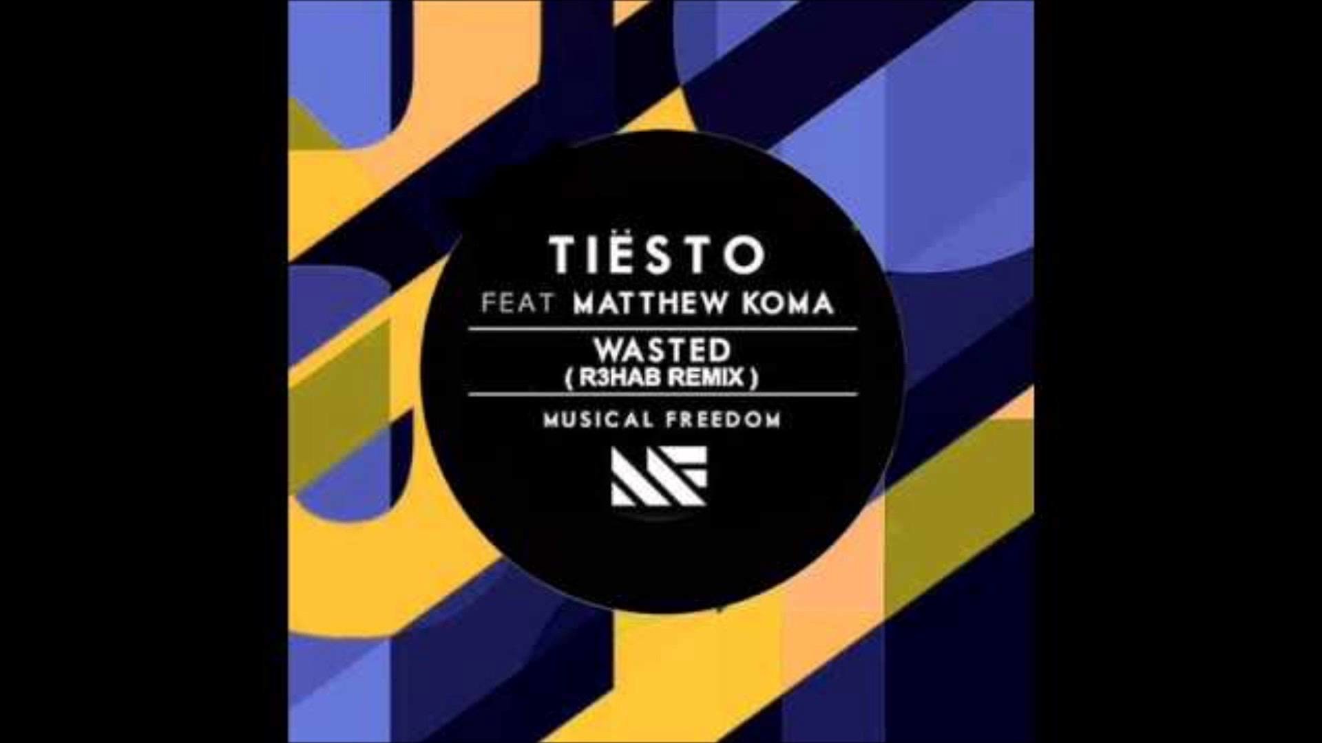 Tiesto Wasted Remix