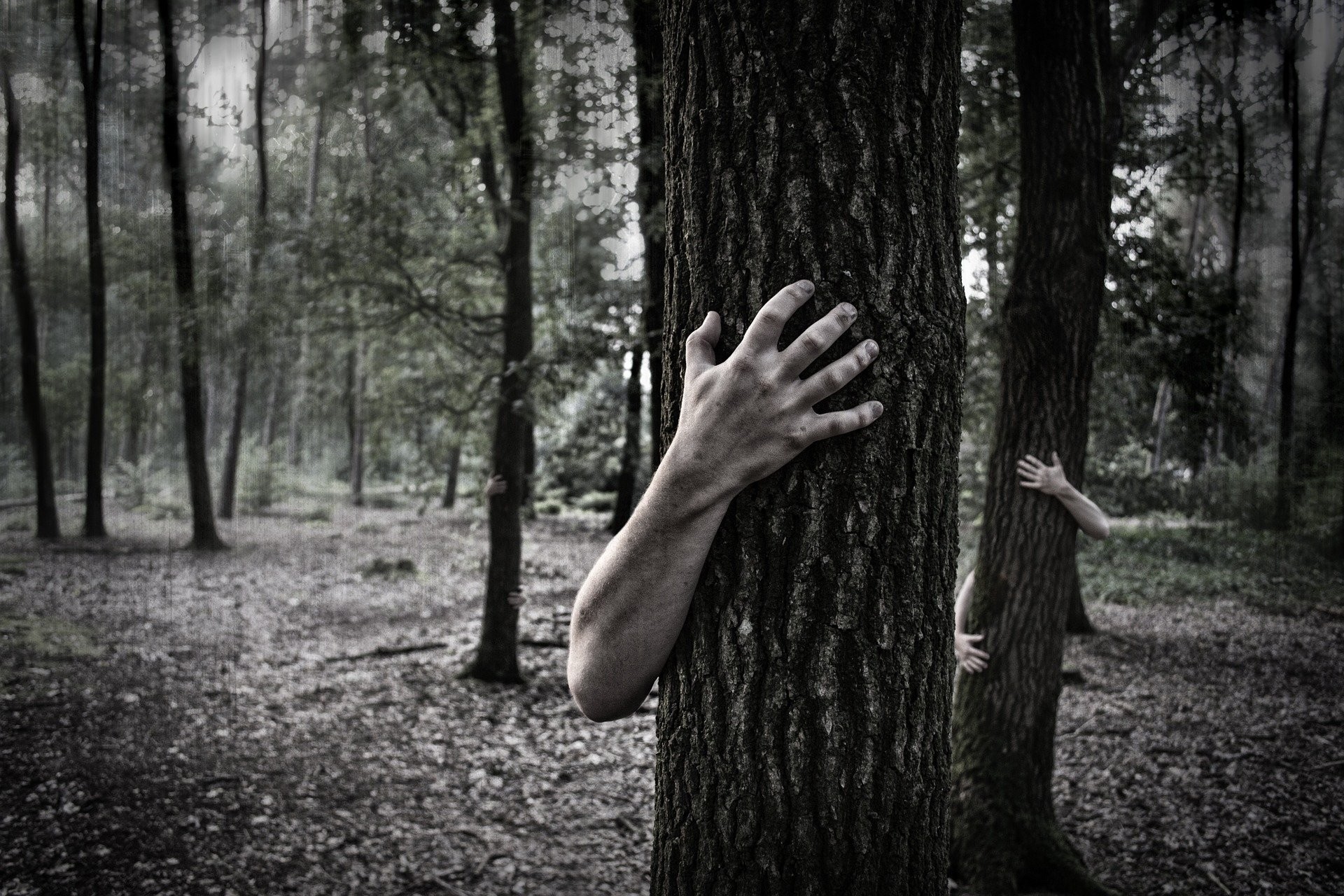 Hands Trunk Creepy Zombie Forest Horror Scary Forest Wallpaper At Dark Wallpapers