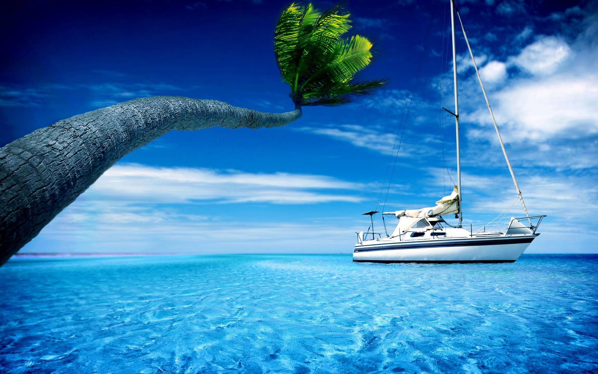 Summer Screensavers Free Summer Wallpaper Yachts Sky Trees Boat