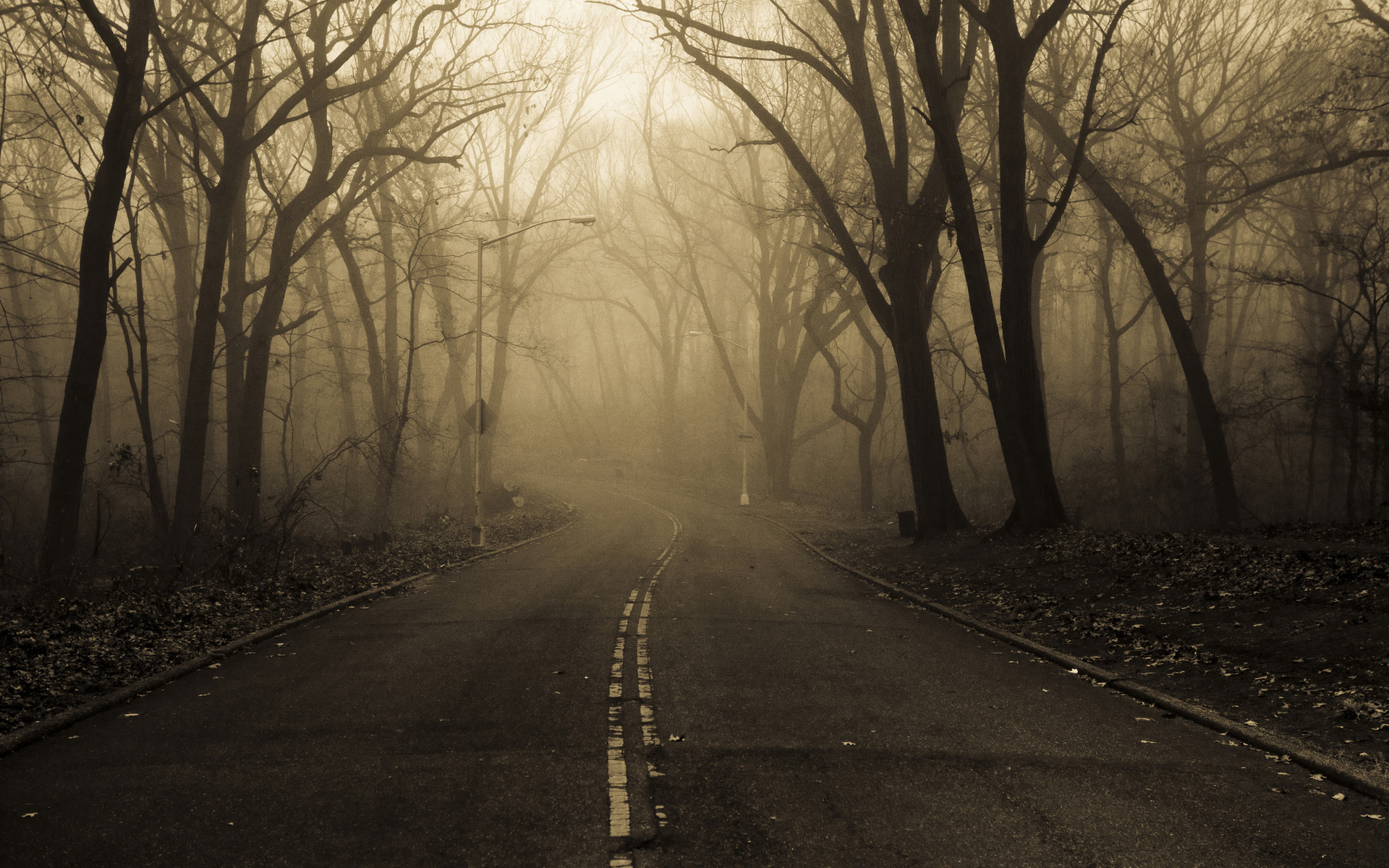 Creepy Forest Wallpaper HD Other Wallpaper – Kokean.com