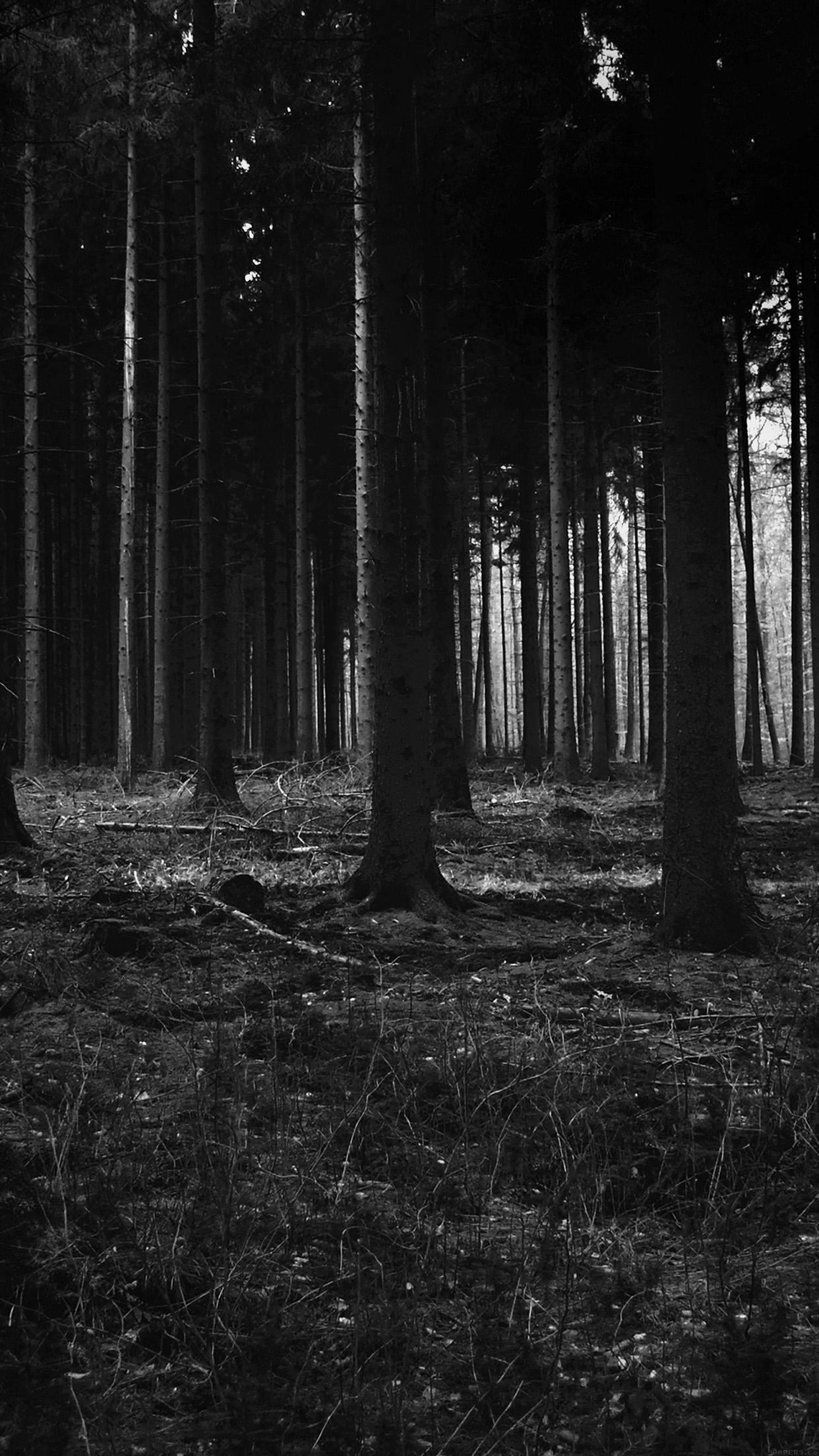 86_dark_forest.jpg (1132Ã800) | Creepy Forest | Pinterest .