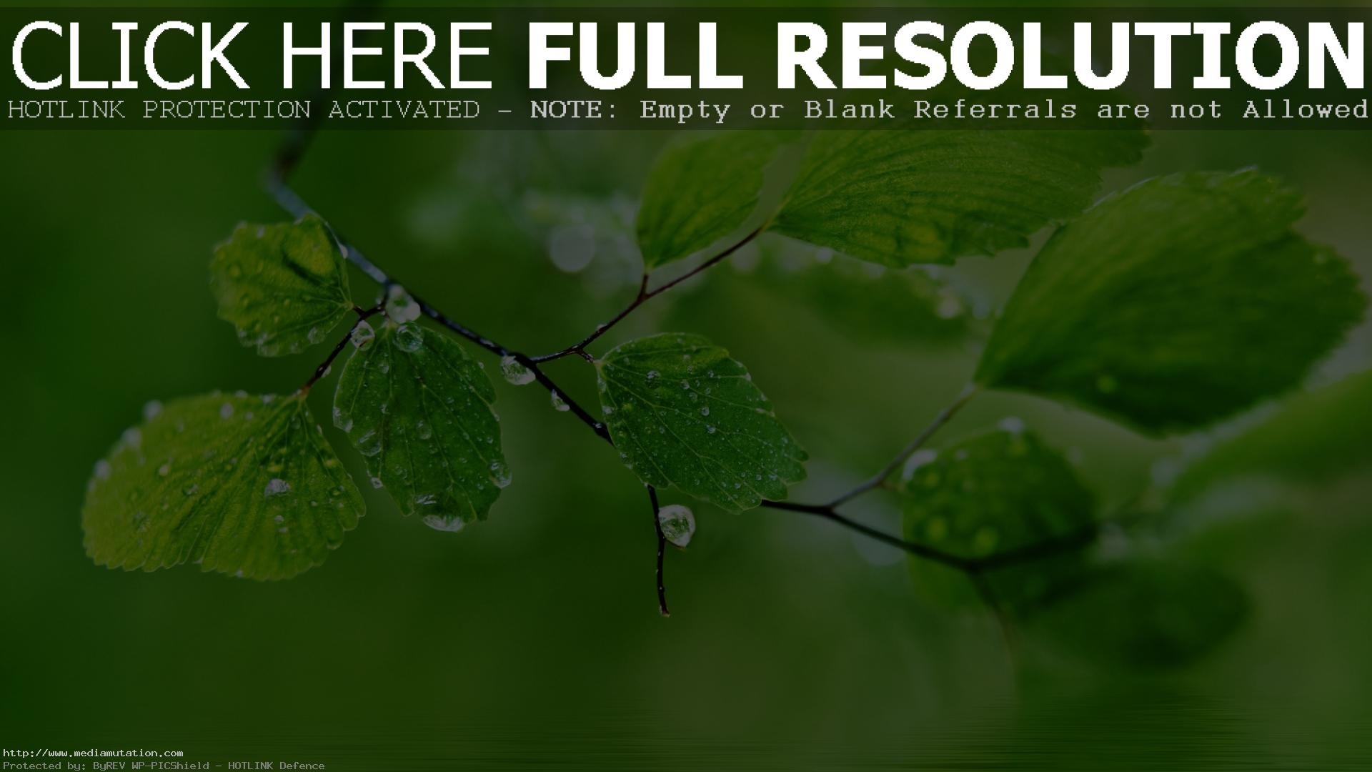 Nature HD Wallpapers for Desktop 4K 3D Nature Beautiful Wallpapers free  download for Laptop PC