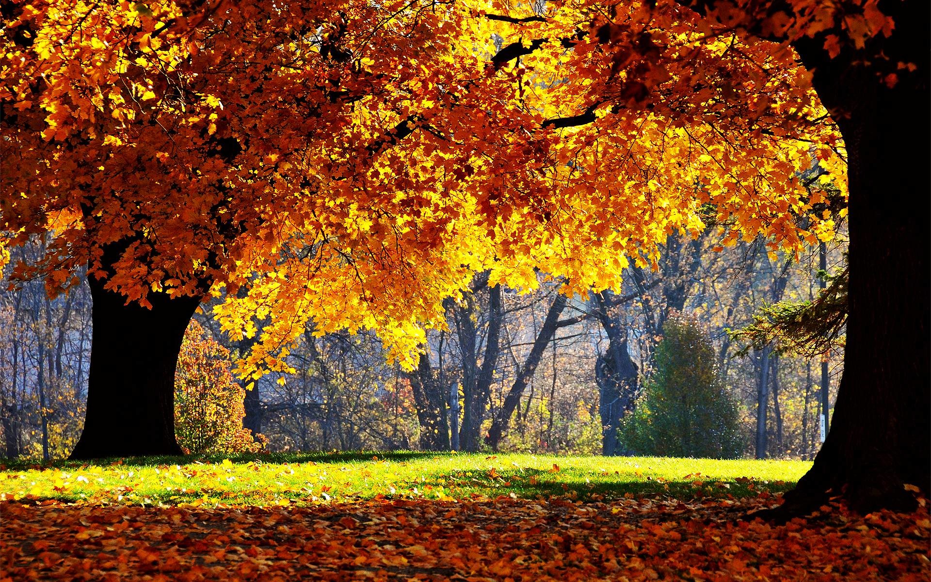 Fall desktop wallpaper backgrounds – www