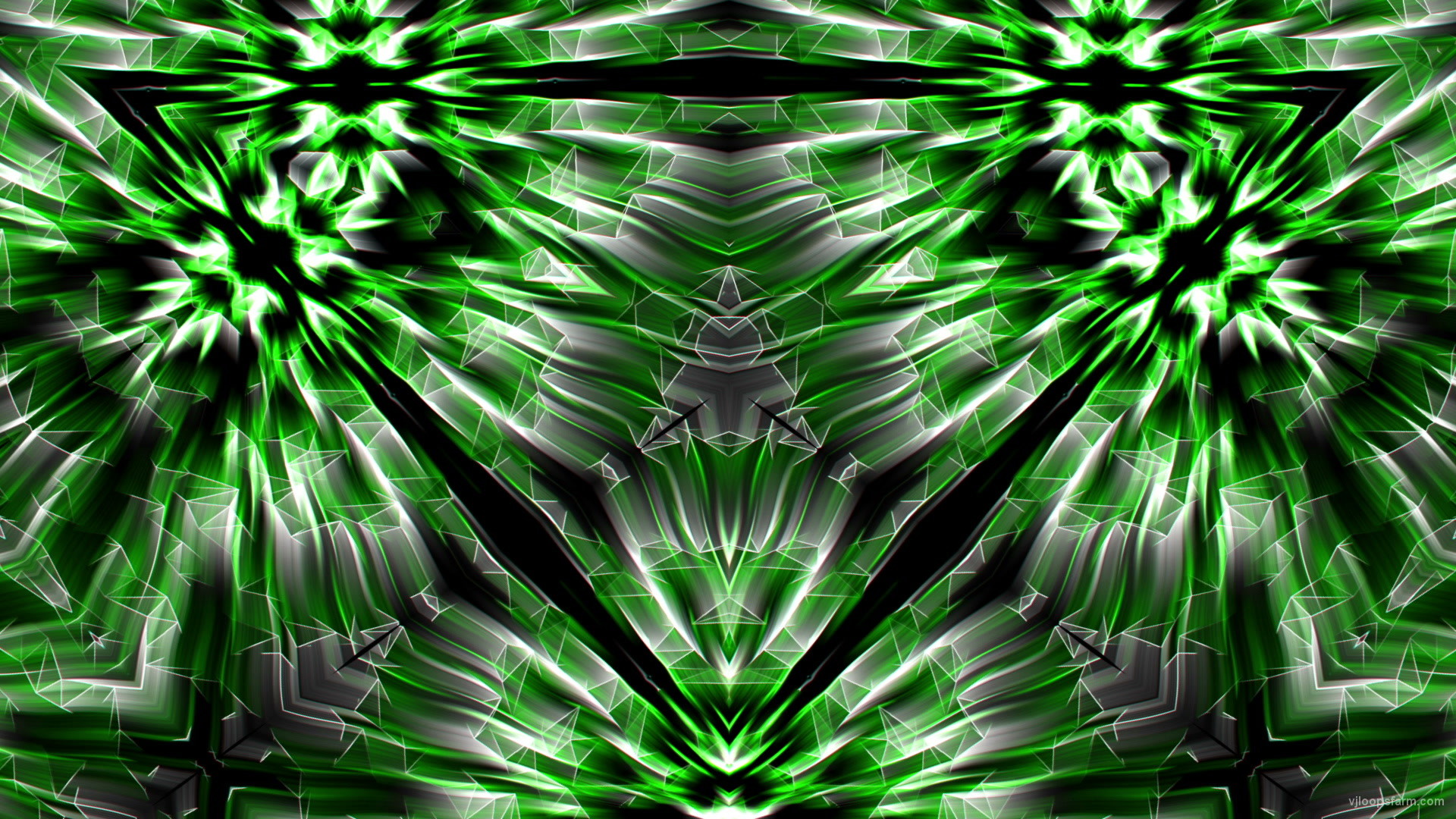 Vj video background Green forest stage 1920×1080 29fps VJLoop LIMEART 003