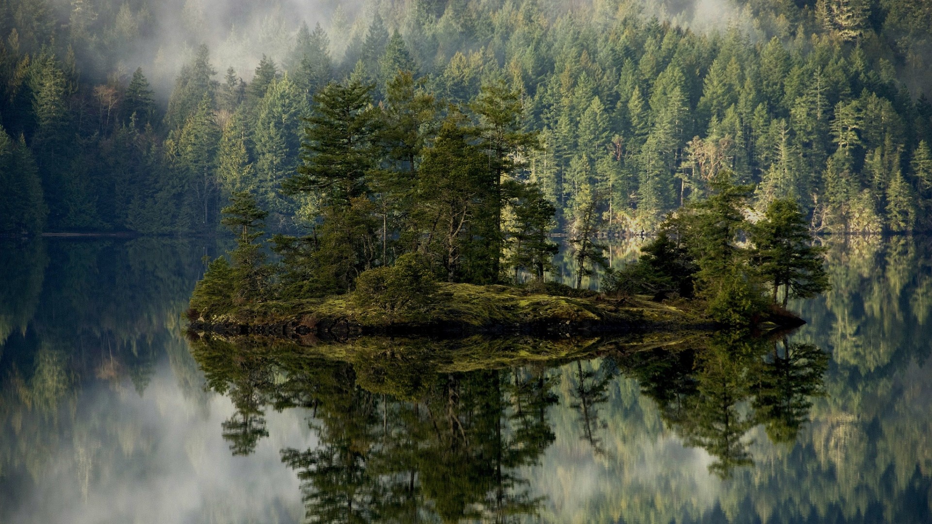 Preview wallpaper forest, lake, reflection, island, mist 1920×1080