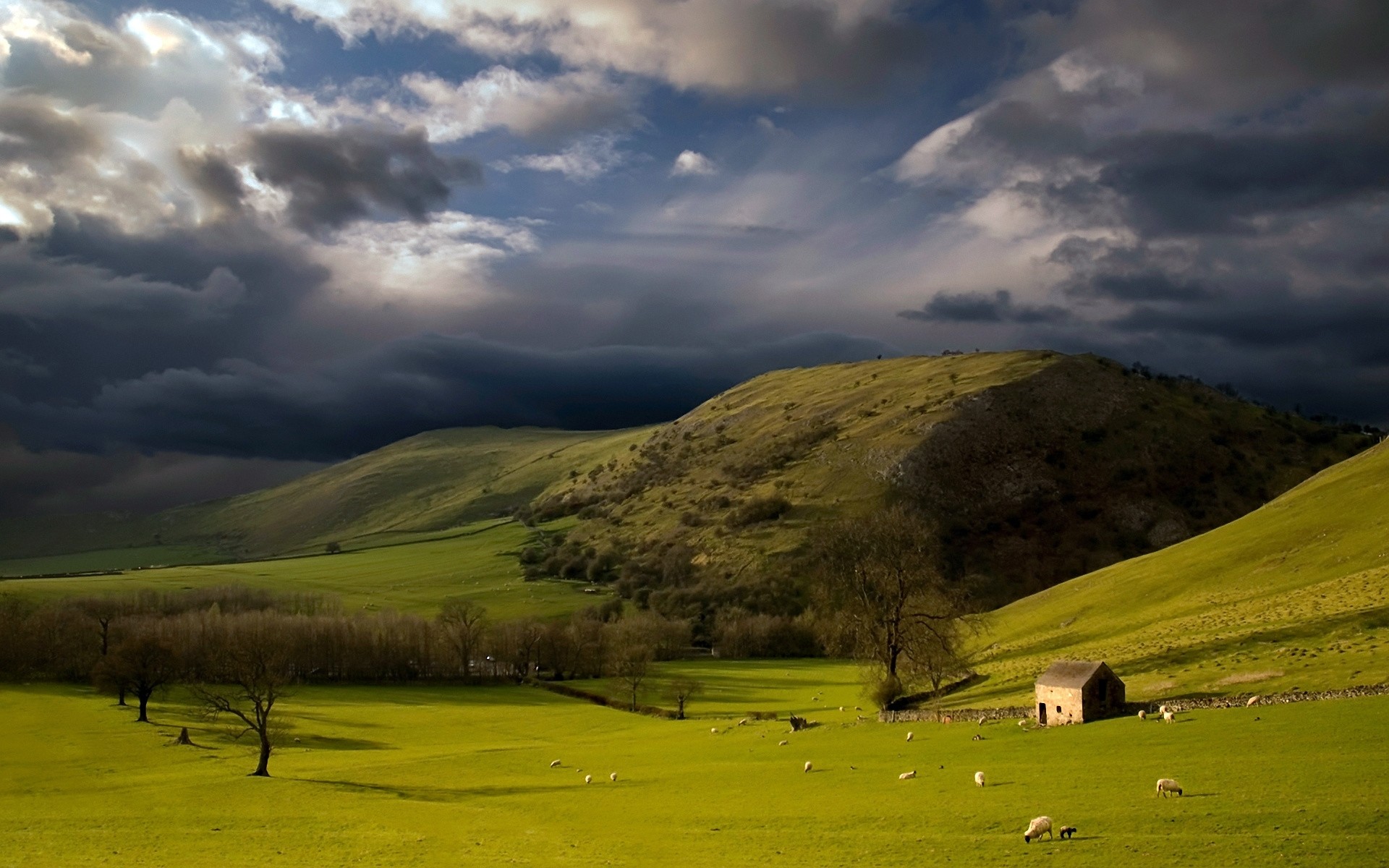 Wallpaper Height, Mountains, Slopes, Pasture, Cloudy, Sky, Storm, Clouds, Sheep, Bad weather, Green