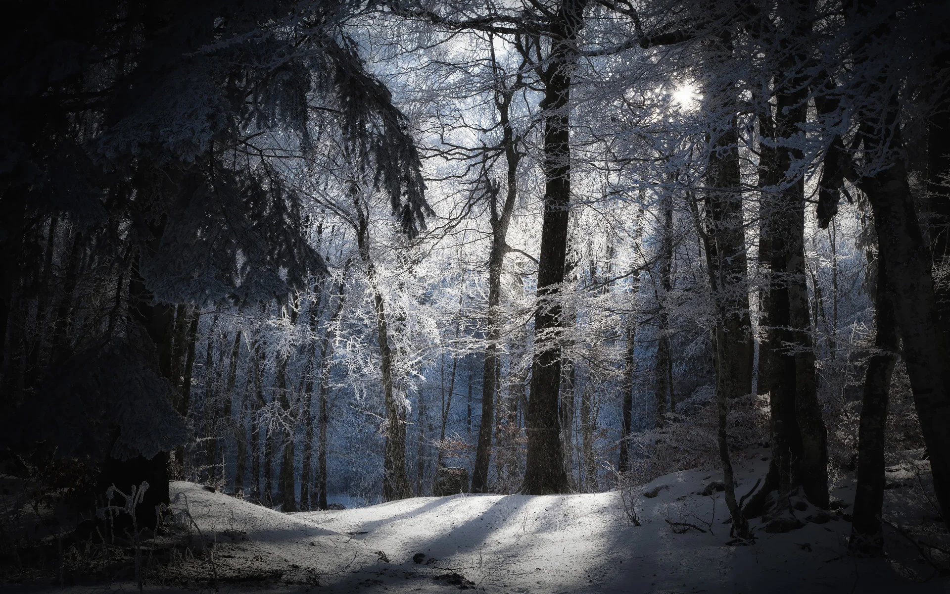 Winter Snow Pictures Wallpaper – WallpaperSafari