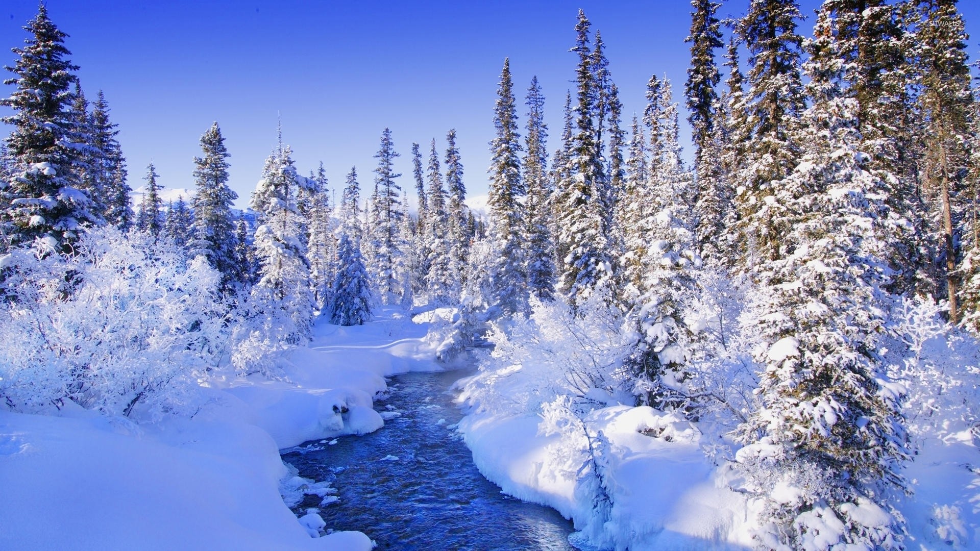 Steamy river by the snowy forest wallpaper – Nature wallpapers .
