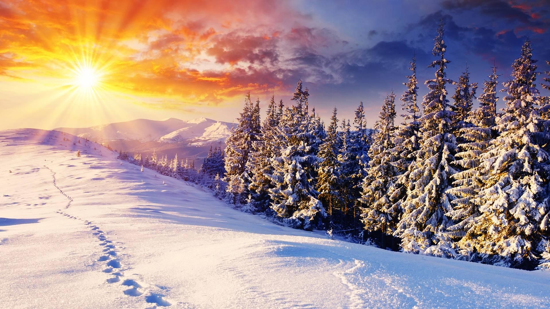 Animated Winter Wallpaper for Computer 1920Ã1080