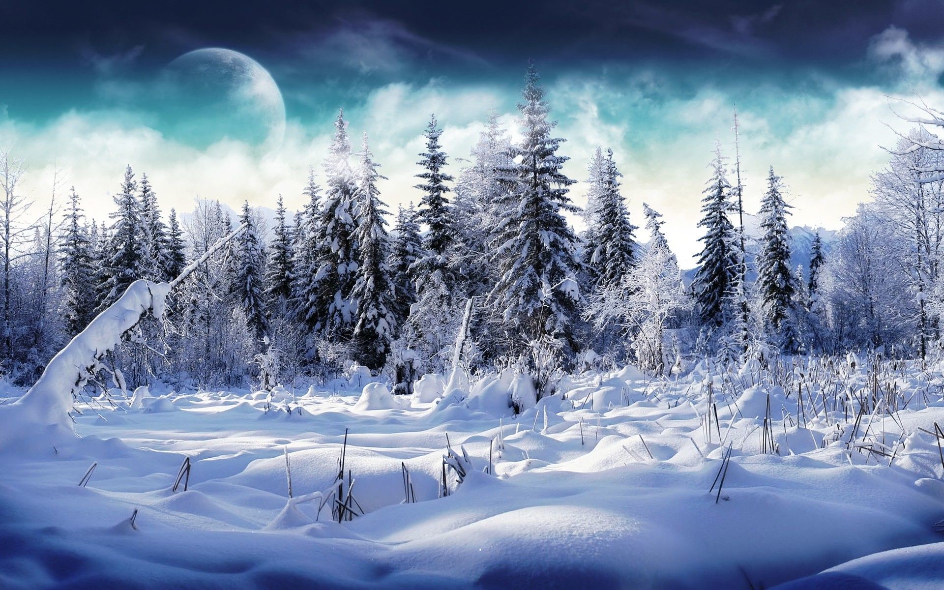 Free winter wallpaper and screensavers 1