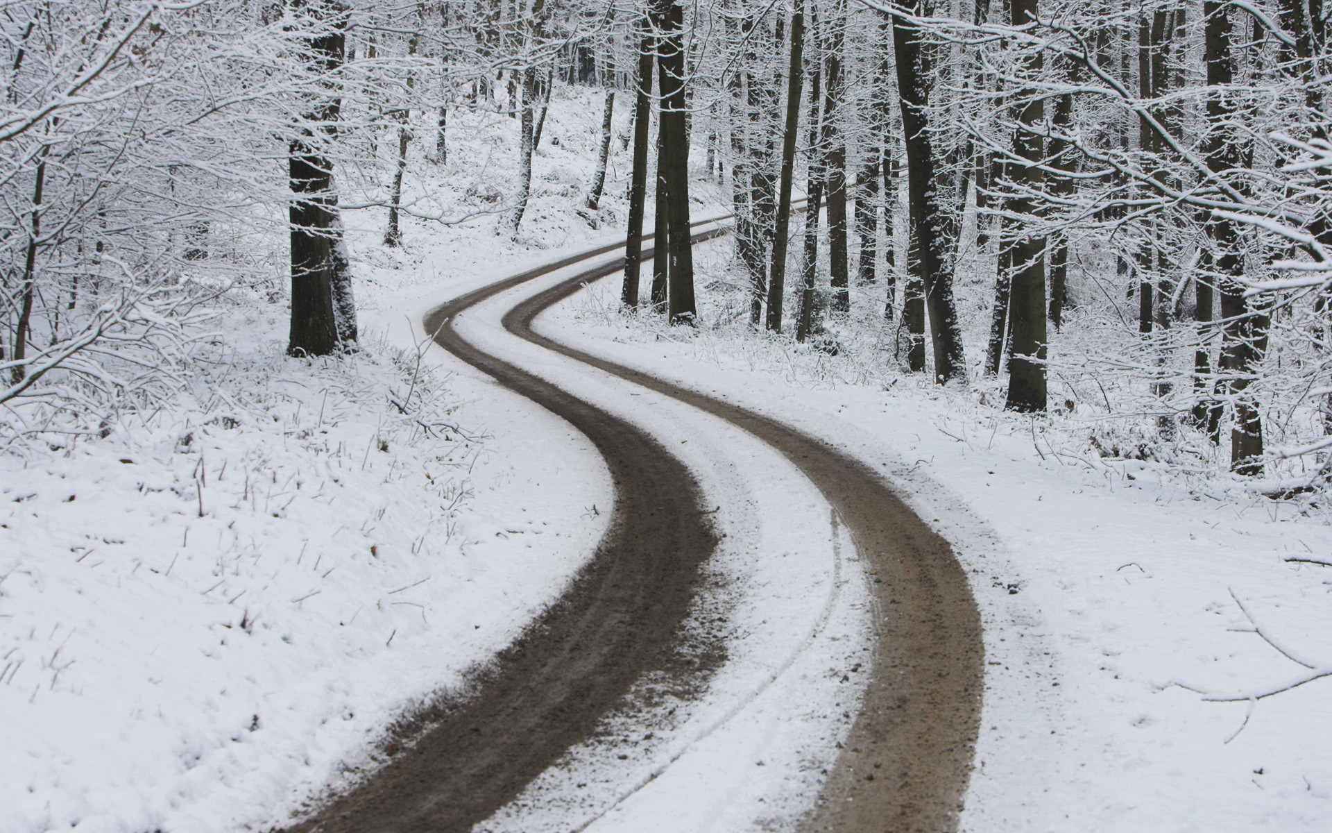 Dangerous Curve – winter wallpaper