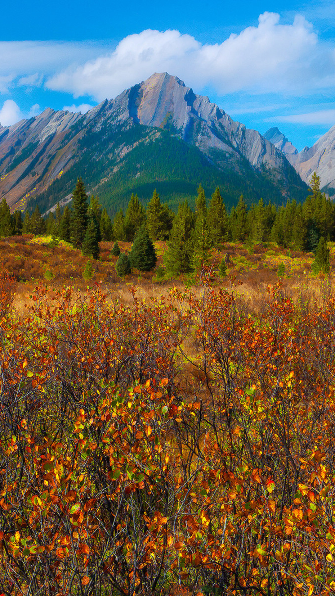 Wallpaper Weekends Fall has Dell – Autumn Wallpapers for the iPhone