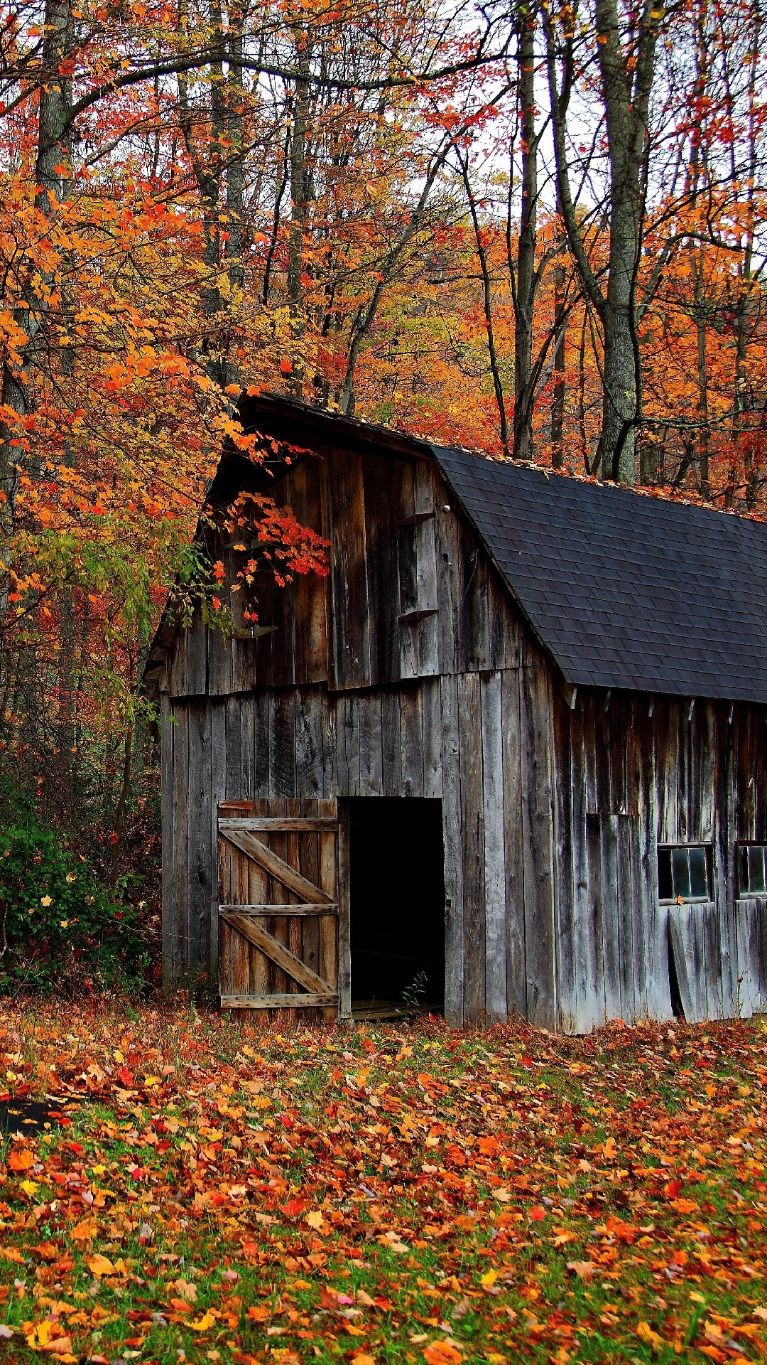 Iphone wallpaper Autumn cabin in the wood