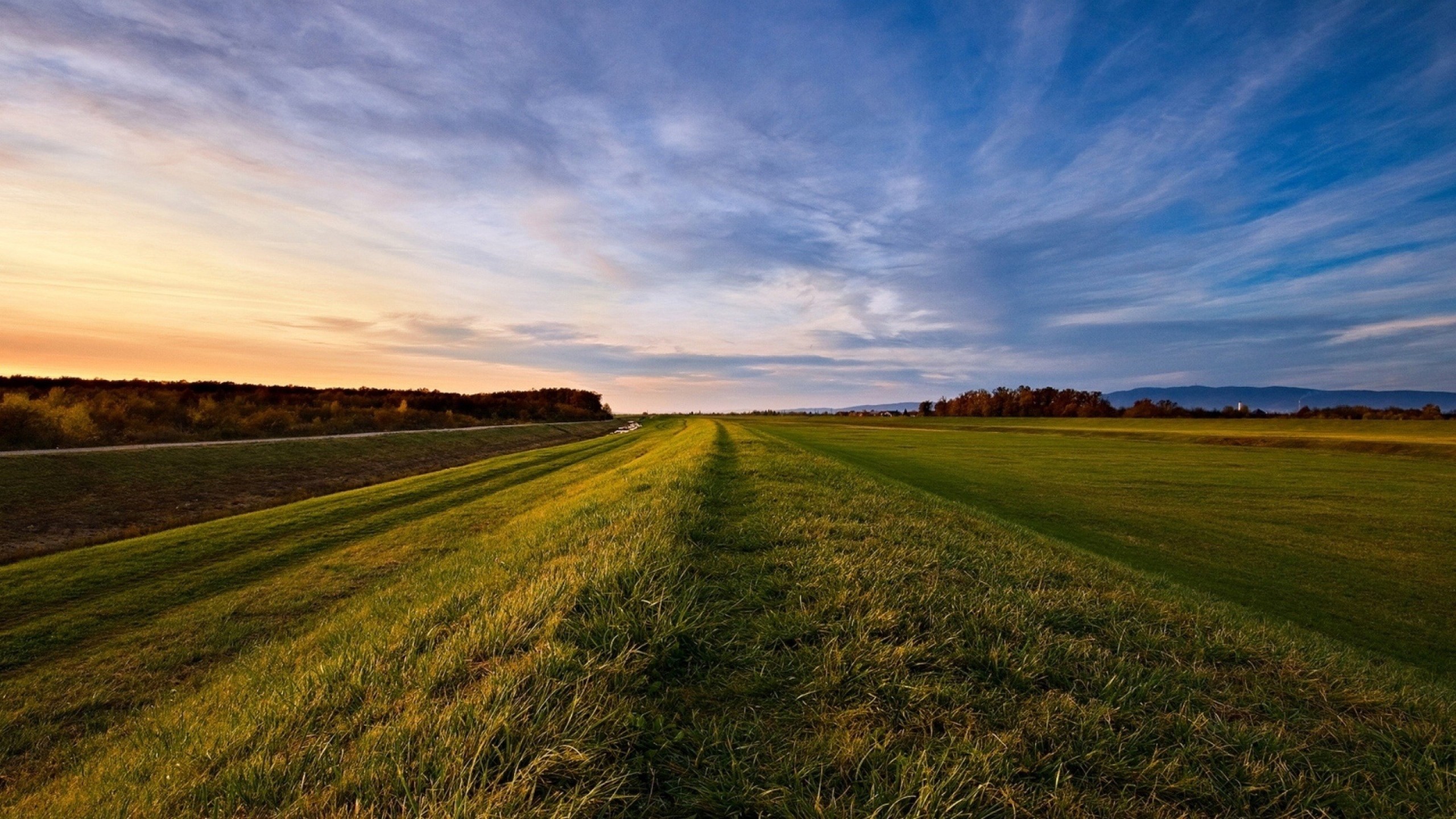 Wallpaper road, roadside, grass, field, open spaces