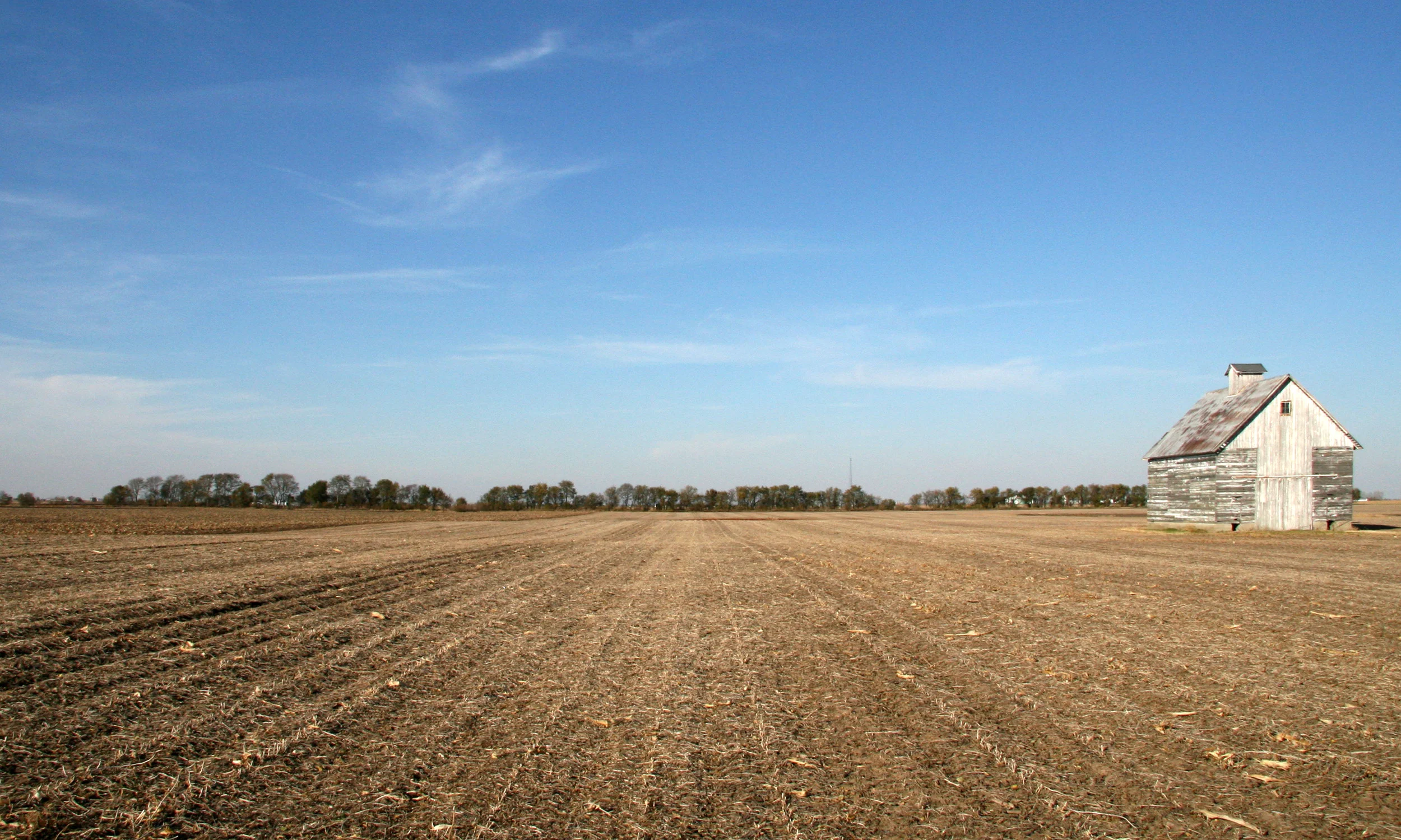 field (1)