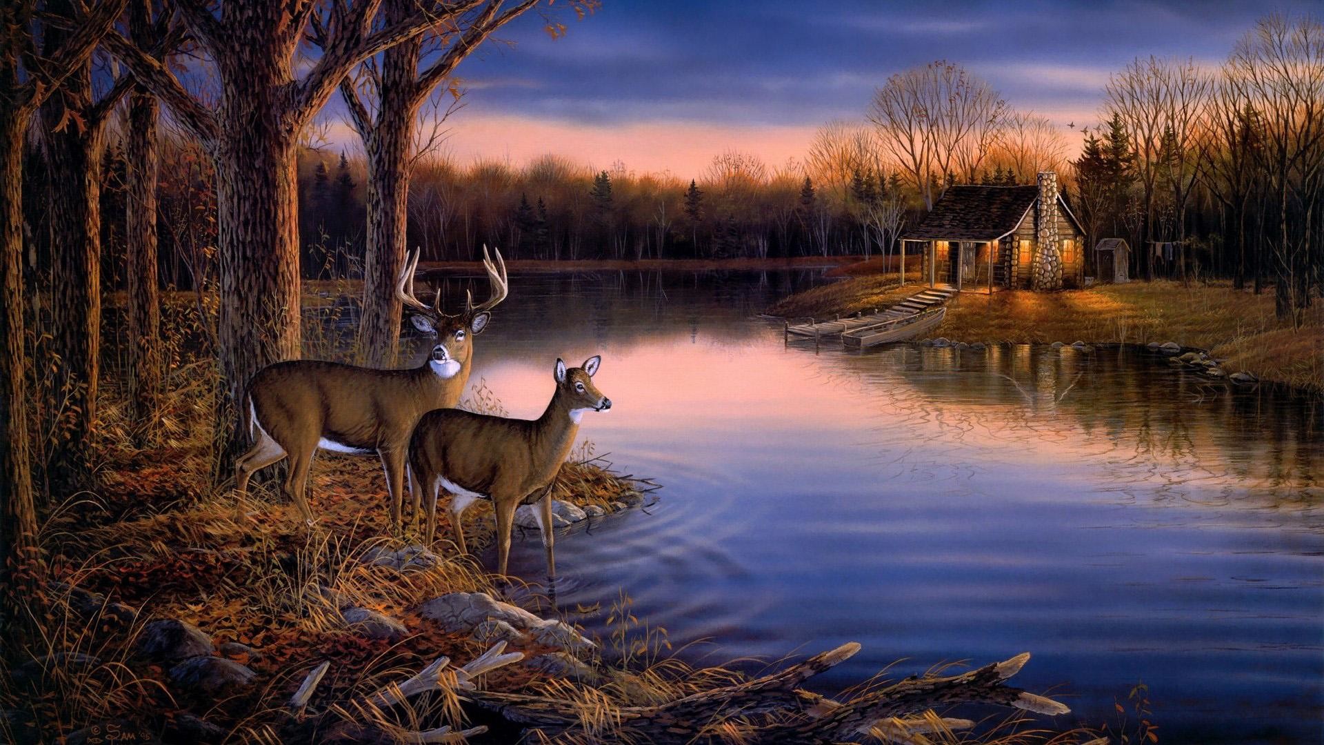 Deer Hunting Wallpaper Border ,landscape wallpaper Picture 1080p hd wallpaper