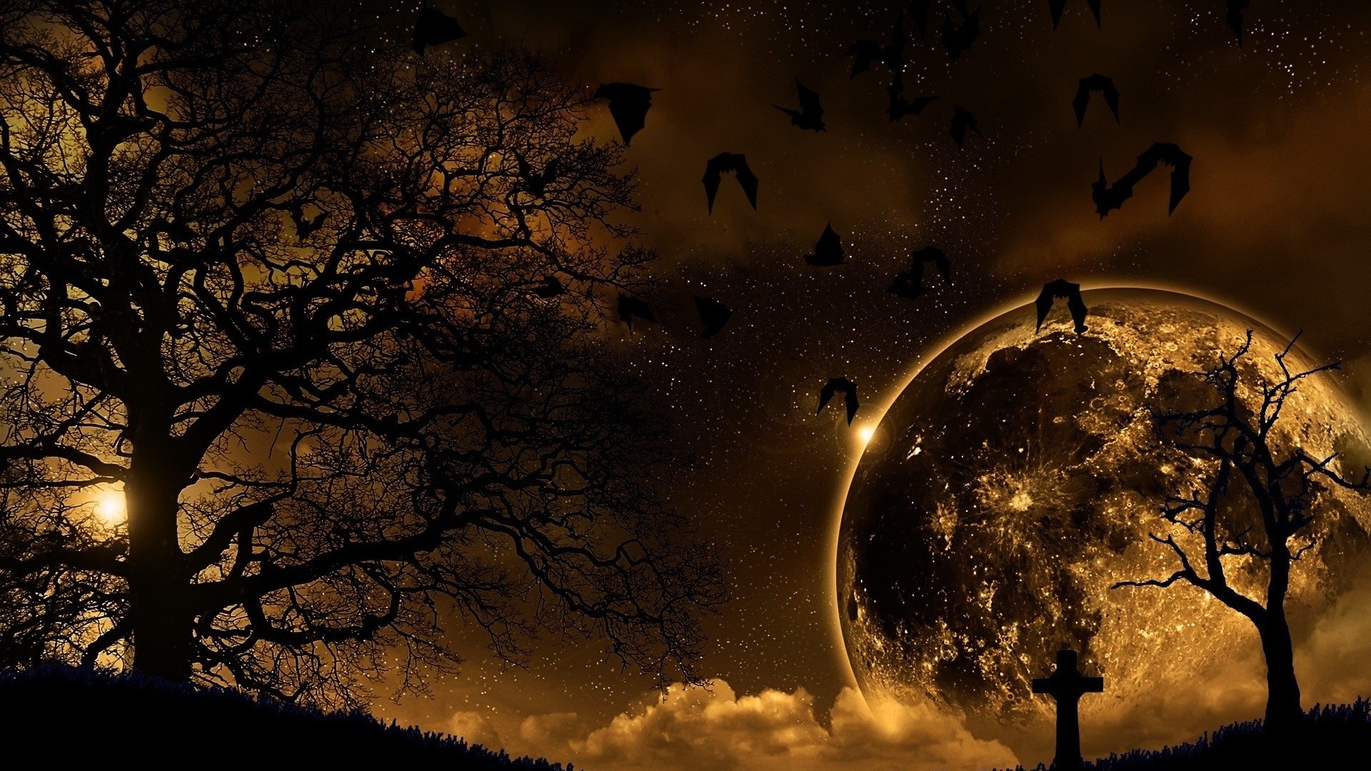 Preview wallpaper trees, nature, night, planet, birds, landscape 1920×1080