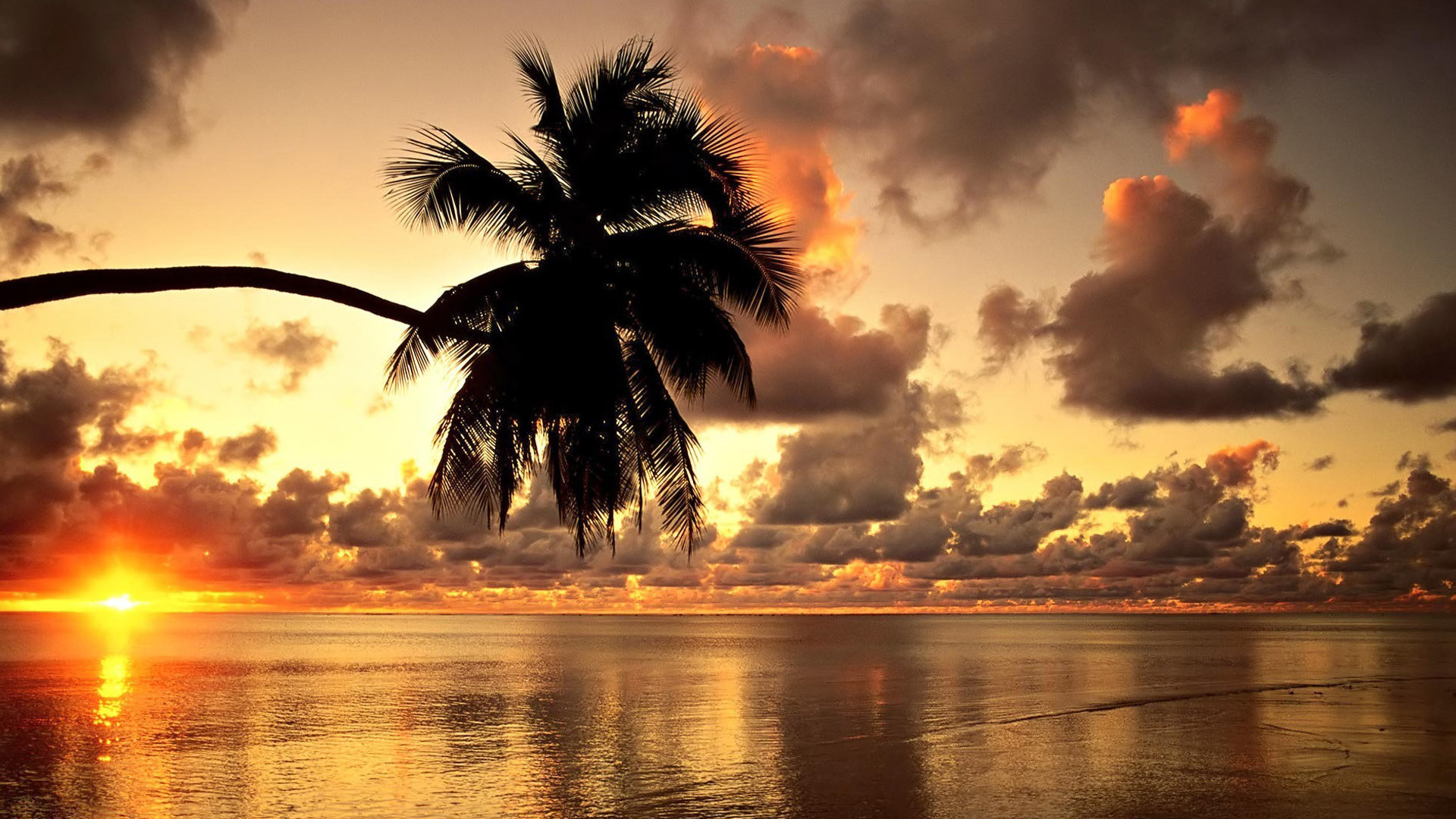 Tropical sunset beach beautiful scenery Wallpapers, Beach Pictures .