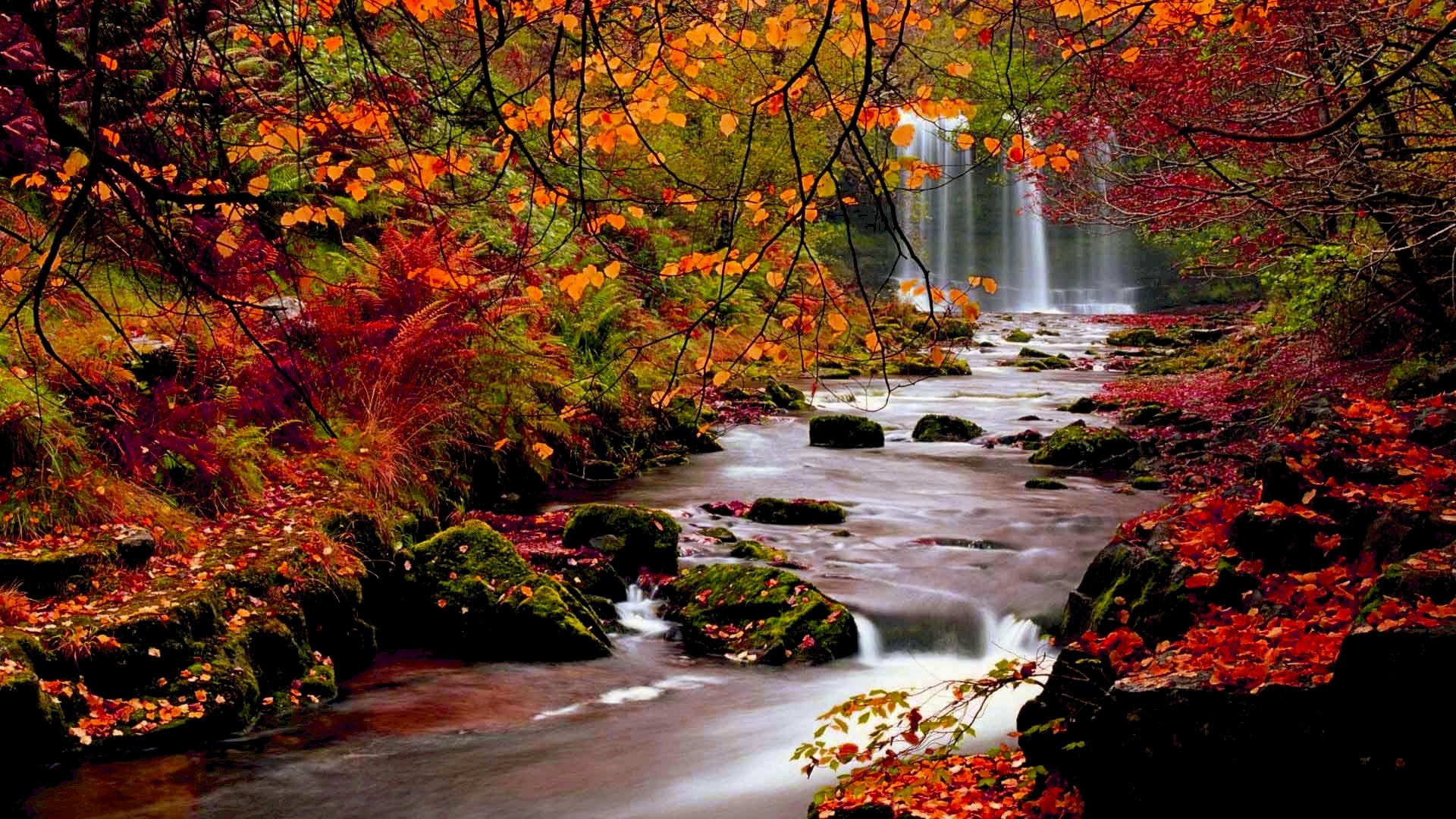 Autumn River High Resolution.