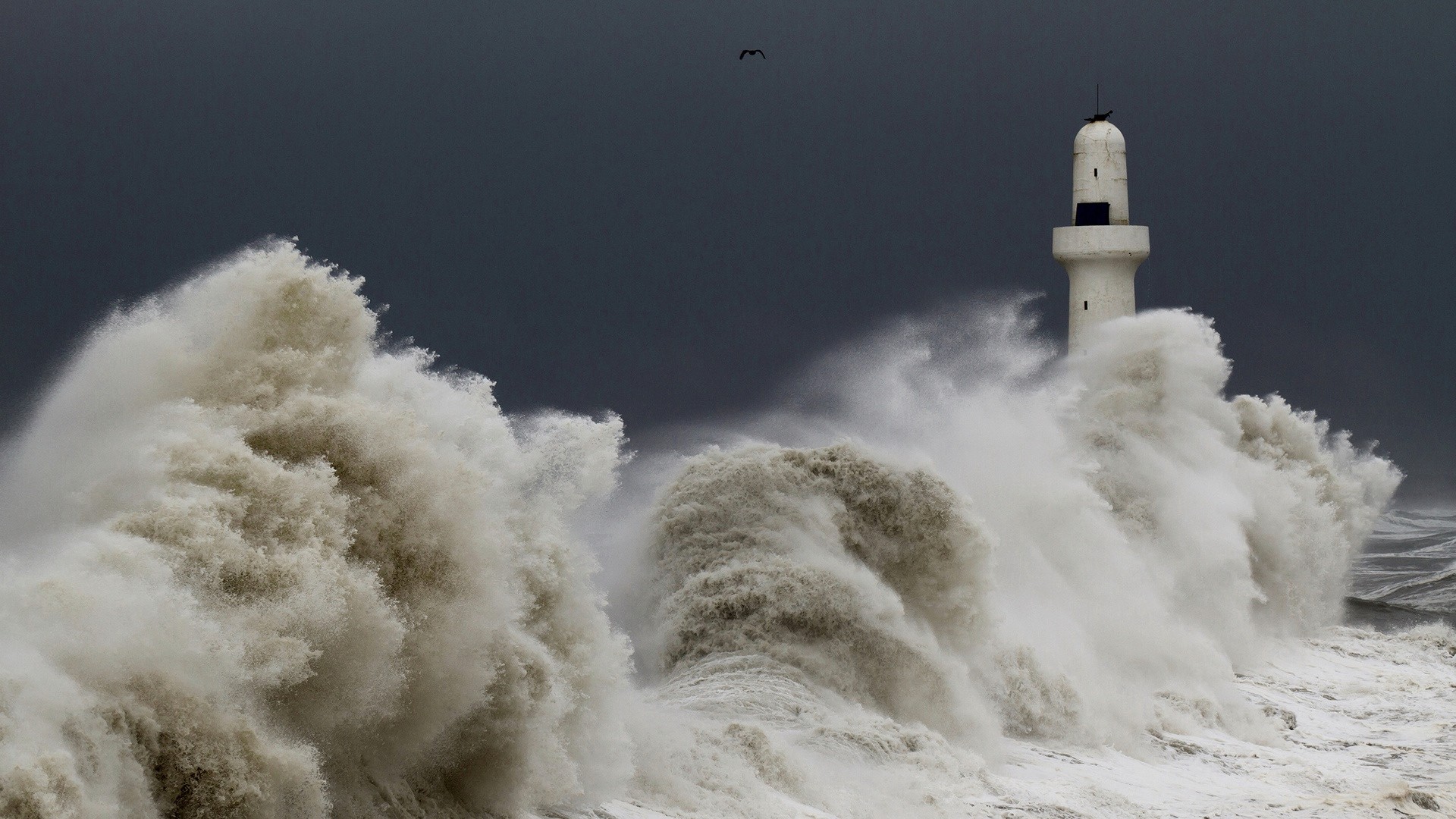 Preview wallpaper storm, tempest, lighthouse, sky, birds, waves 1920×1080