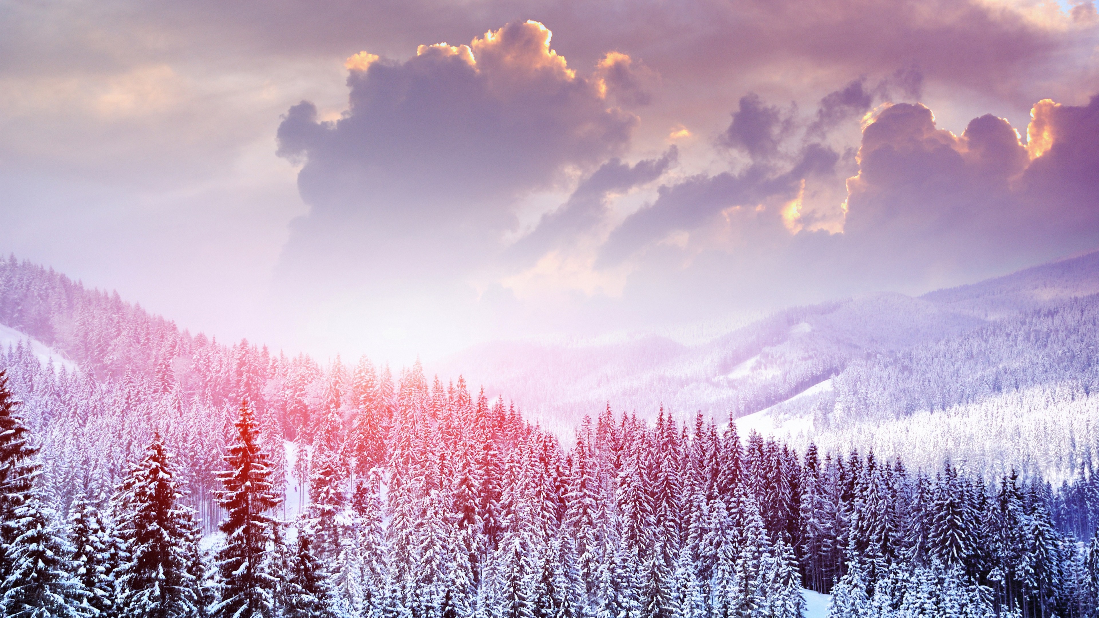 Winter Landscape Of Snow Forest Wallpaper