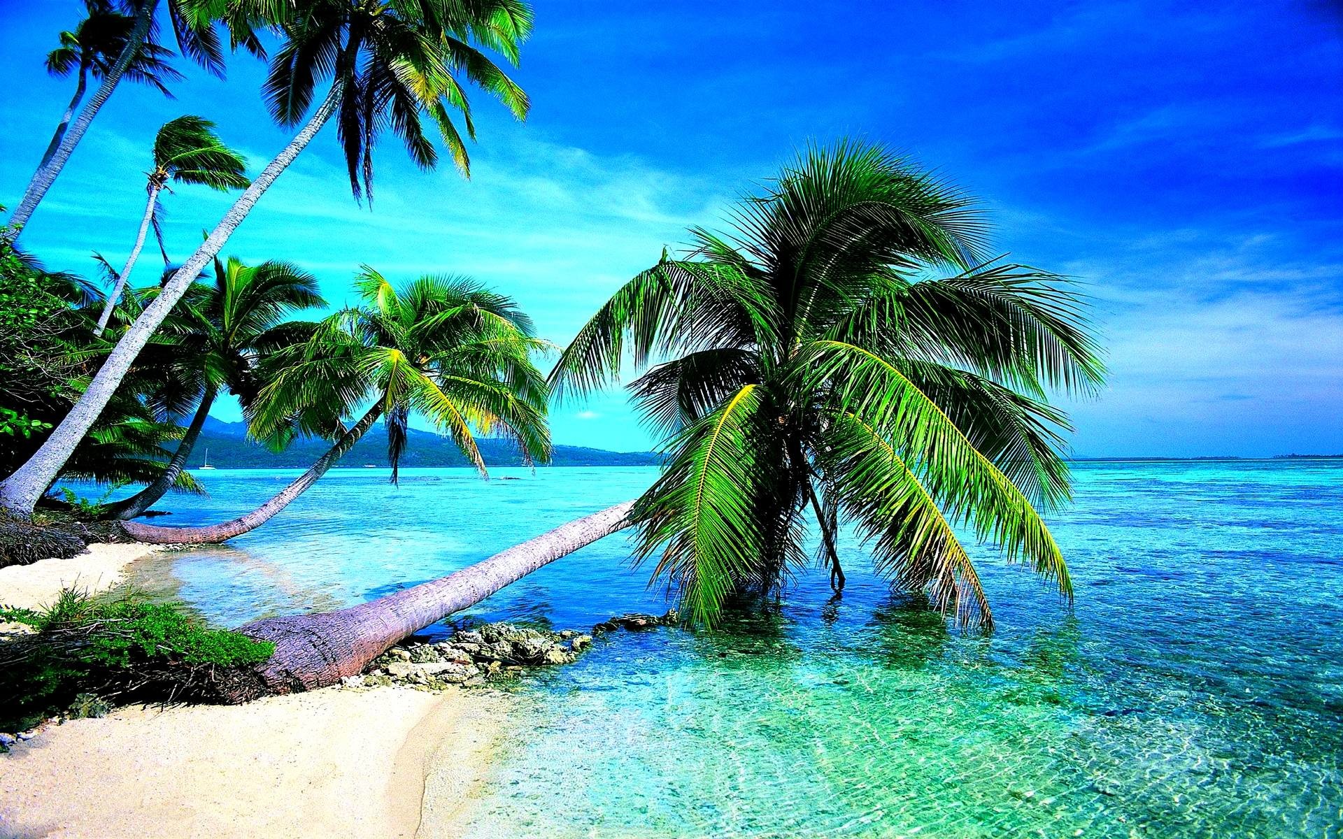 Tropical Beach Wallpaper 1080p