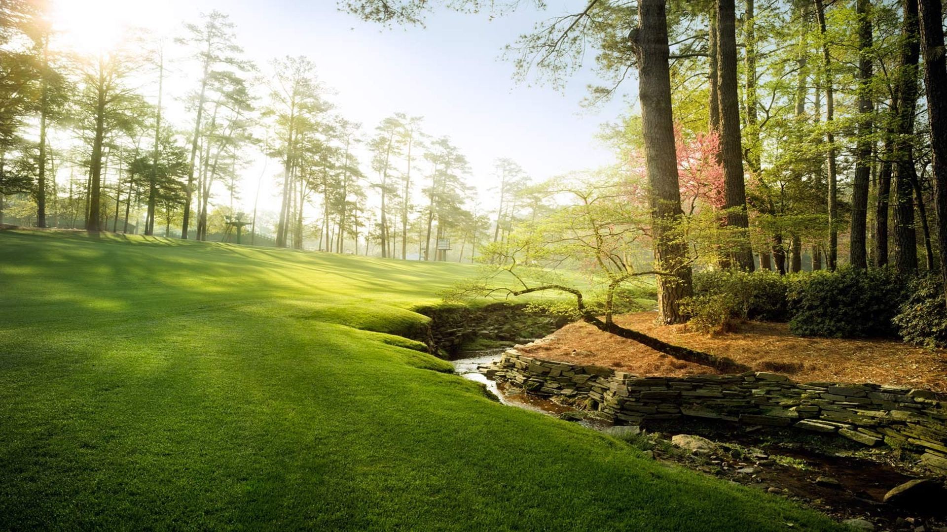 14 amazing Masters photos to spice up your phone and Zoom backgrounds