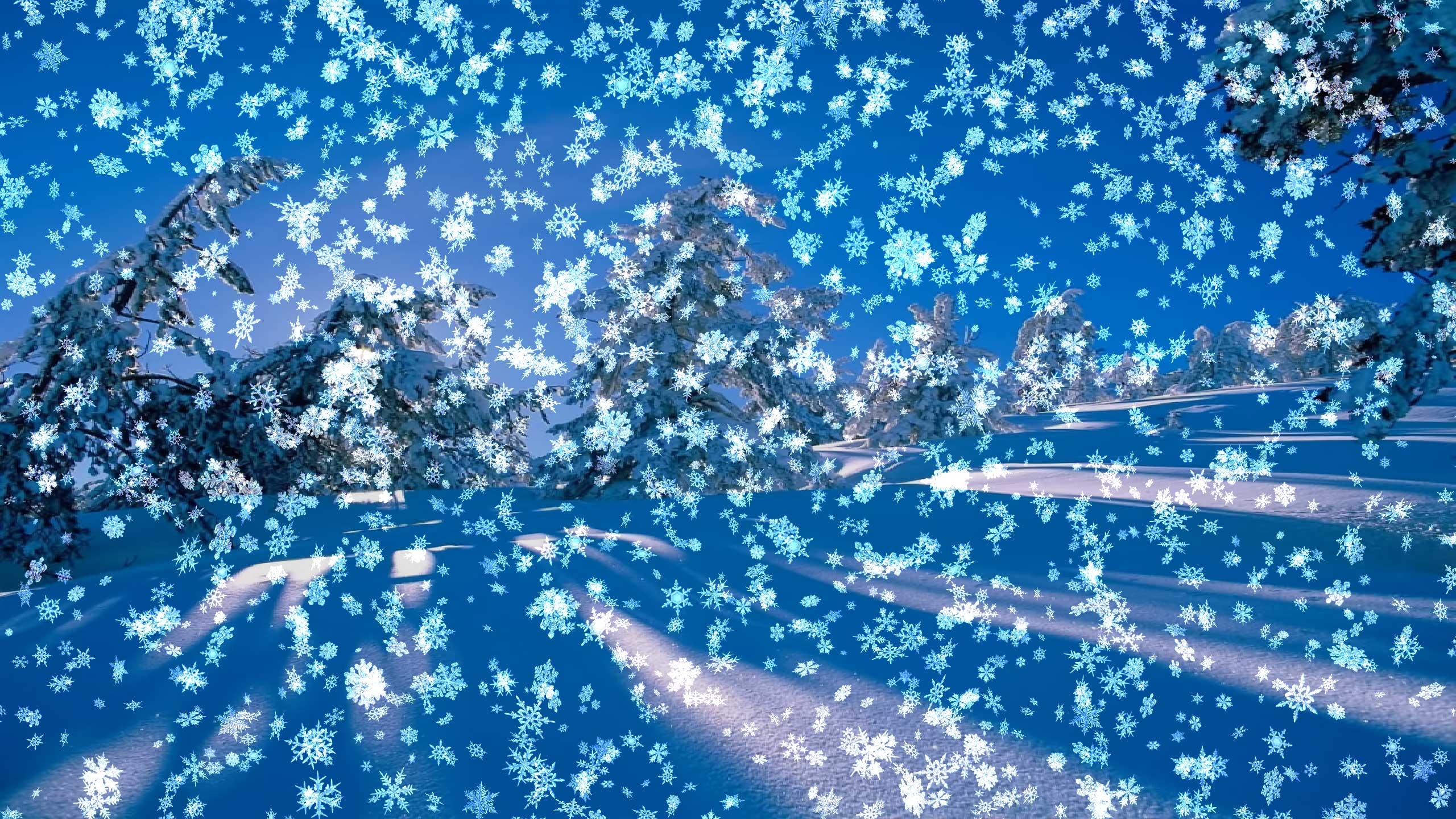 Snowy Desktop is perfect to get you in the mood for the winter holidays. A beautiful snow scene with falling snow on your desktop, blue sky, trees covered