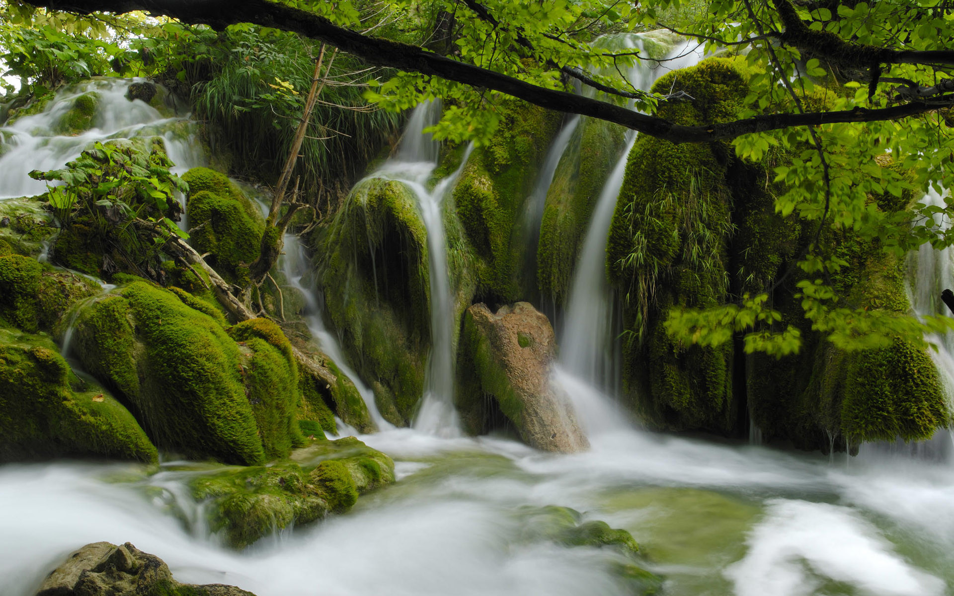 Beautiful Stream Wallpapers: Find best latest Beautiful Stream Wallpapers  in HD for your PC desktop