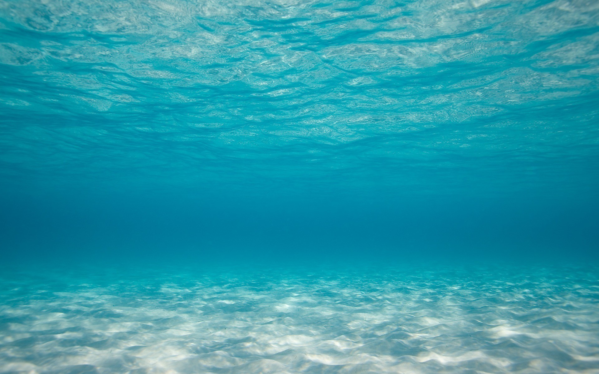 Sea Underwater Wallpaper Sea, Underwater