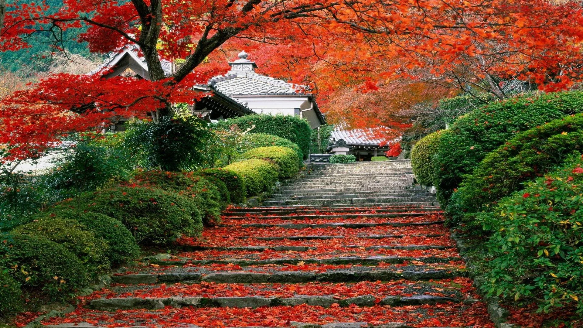 Download Japan Landscapes Wallpaper | Wallpoper #370287