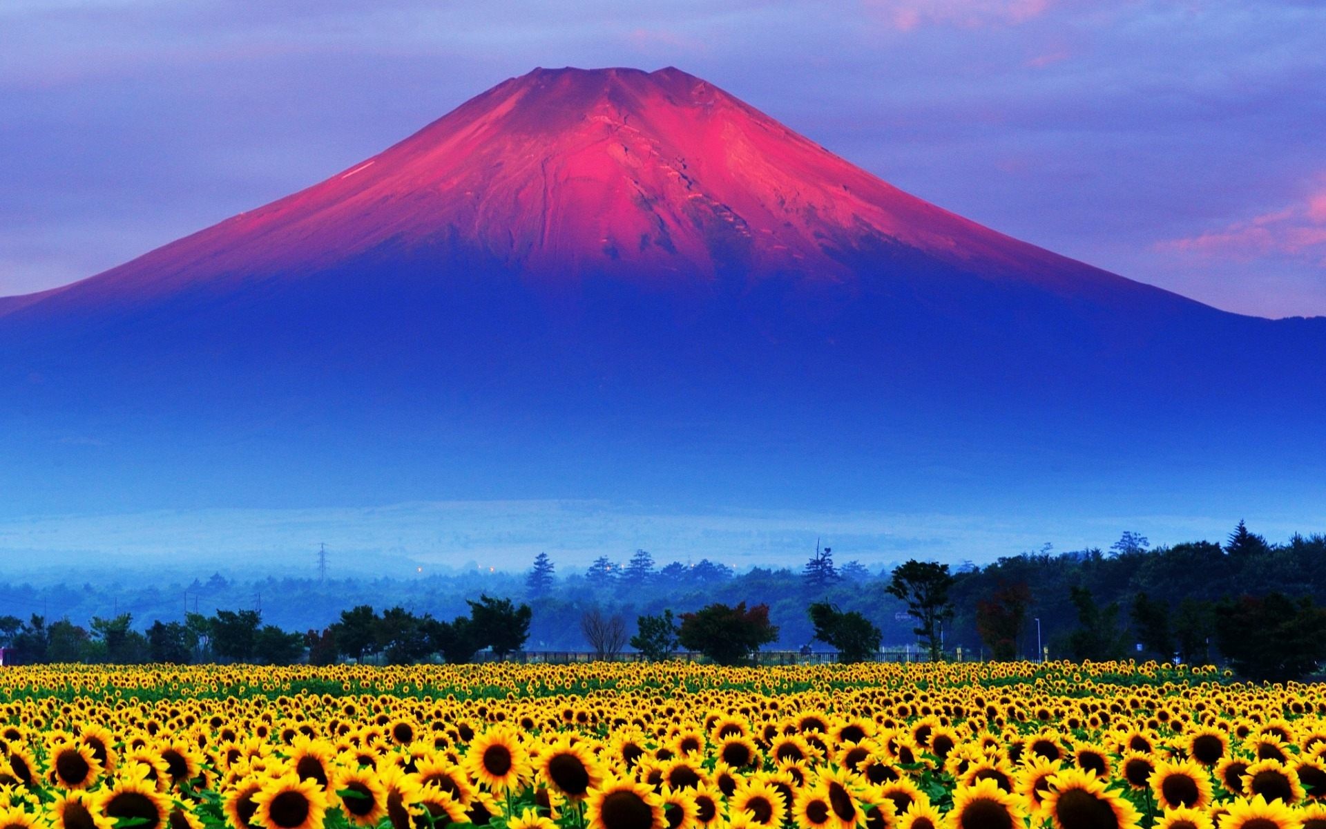 Fuji Mountain Japan Landscape Wallpaper