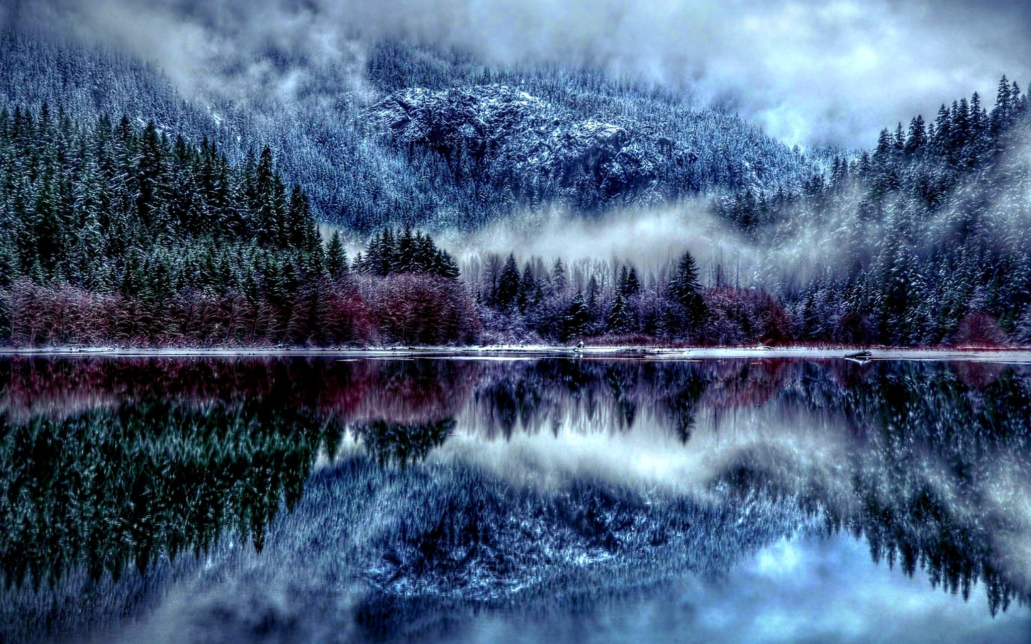 Winter Forest HD Wallpaper – Winter Season Desktop HD Wallpapers .