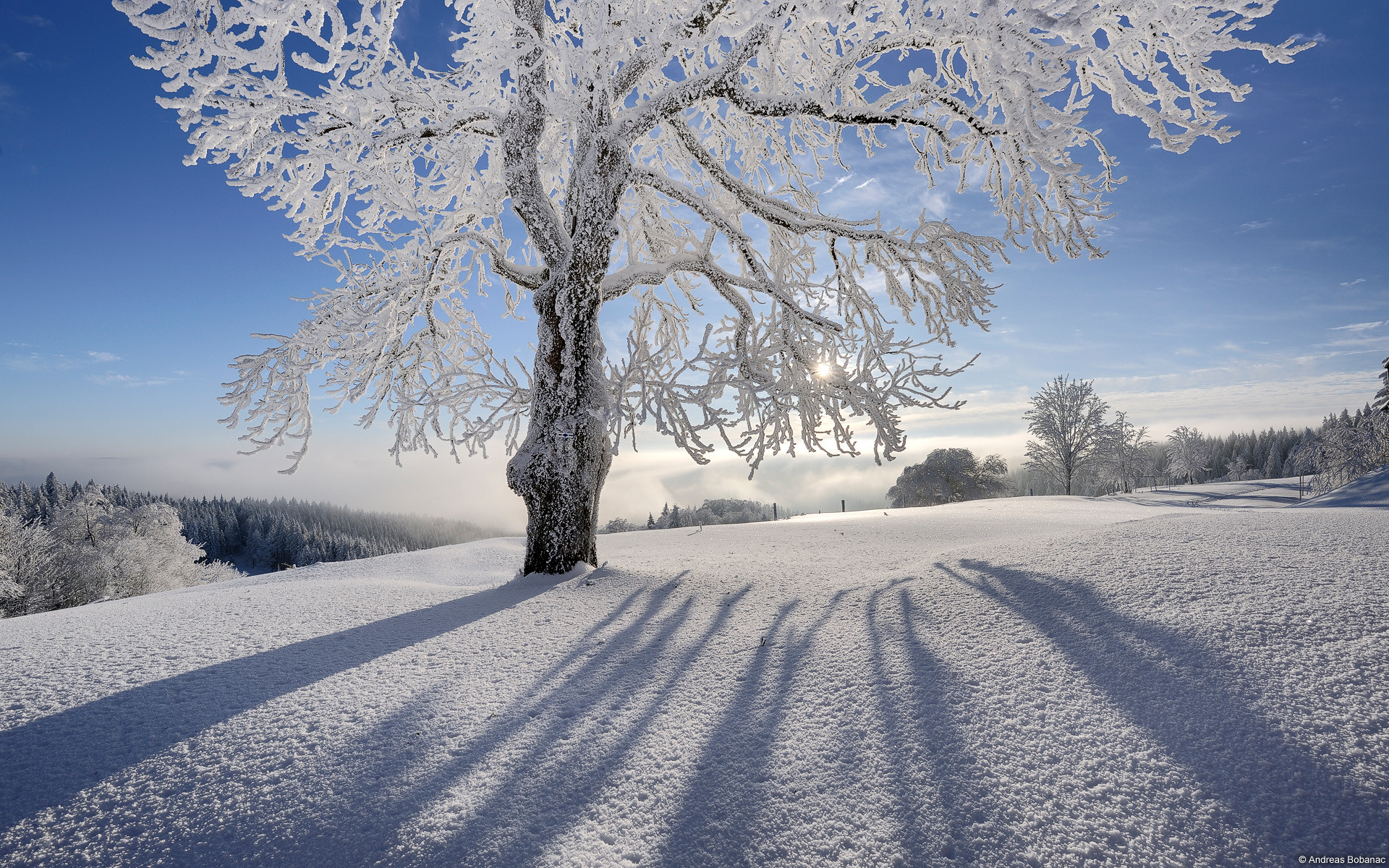 Winter and Christmas desktop backgrounds | HD Wallpapers