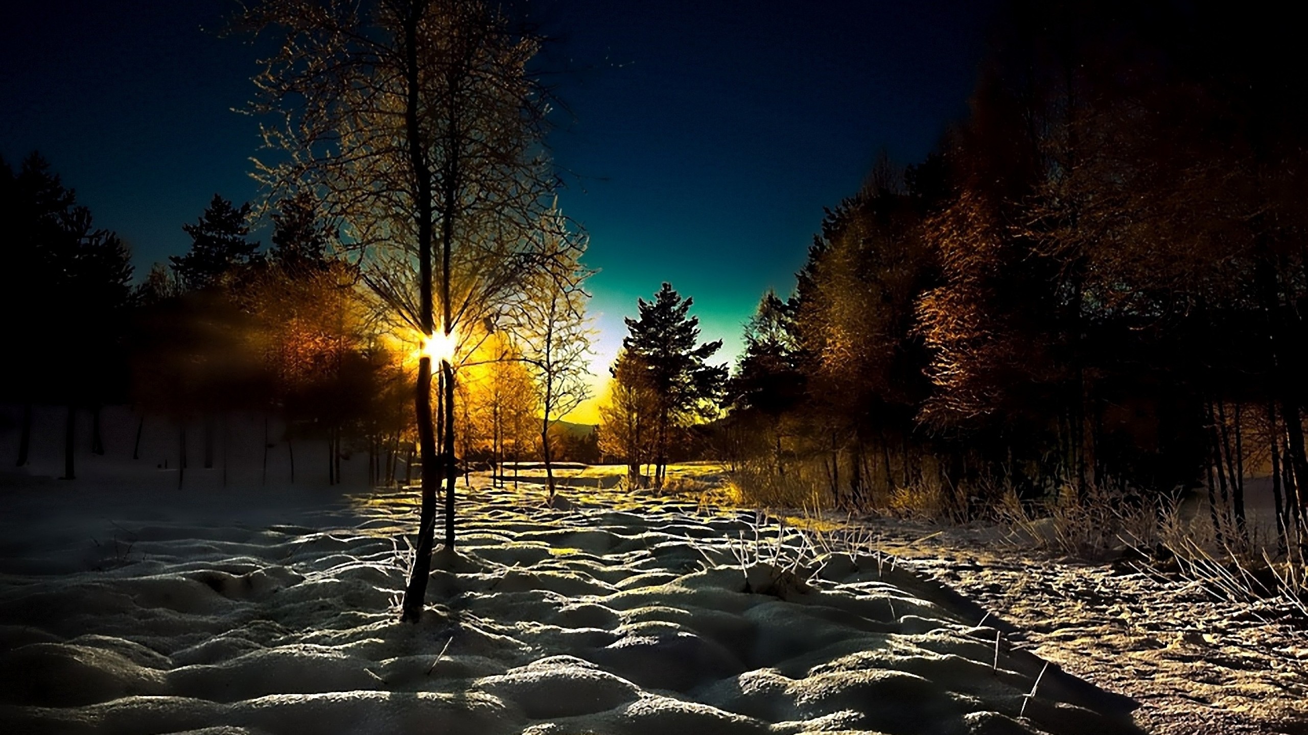 Ночное таем. Зима. К вечеру. Зимний ночной пейзаж. Зимний лес вечером. Зимний лес солнце.
