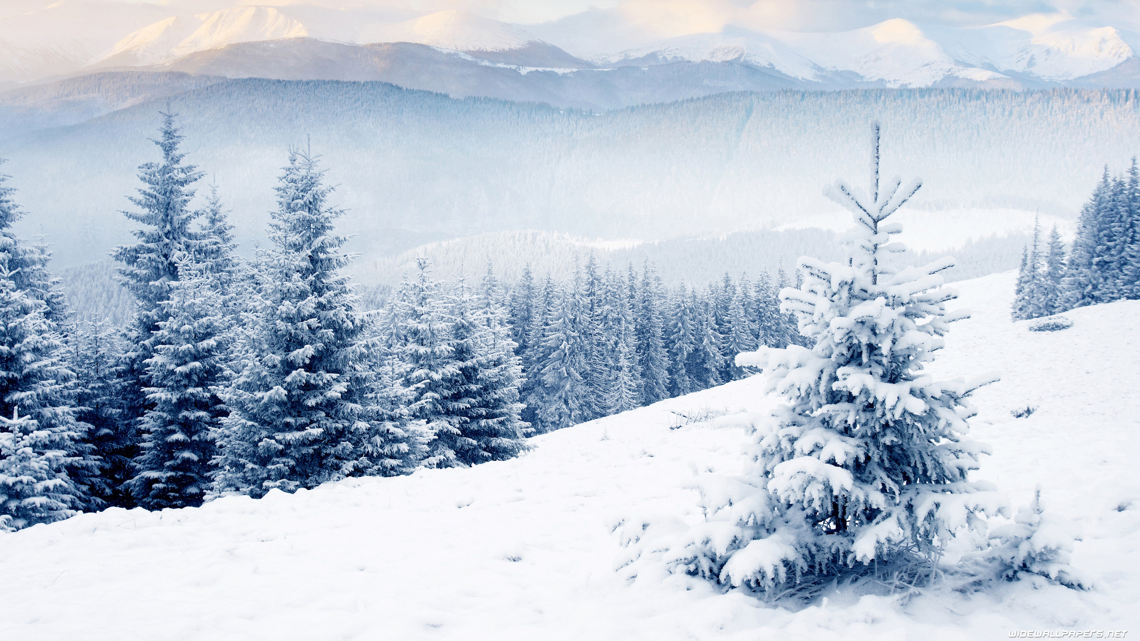 winter backgrounds for desktop hd