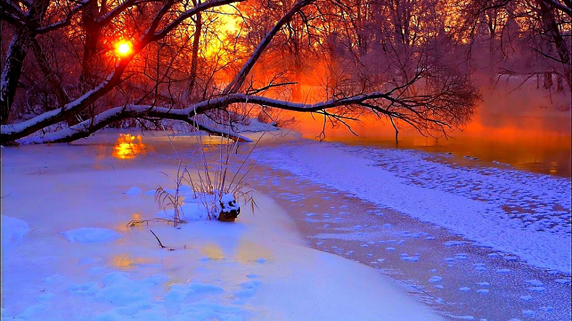 Preview wallpaper winter, sunset, evening, branches, tree, pond, cold,